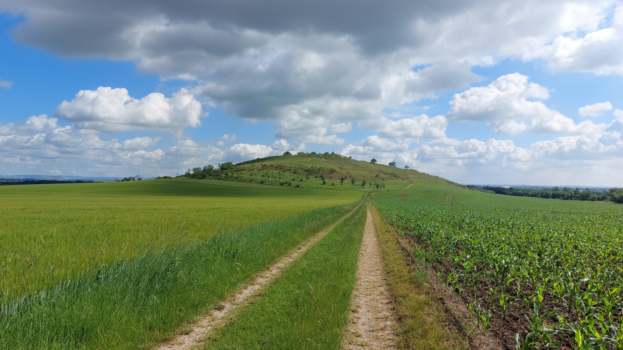 die Schwellenburg