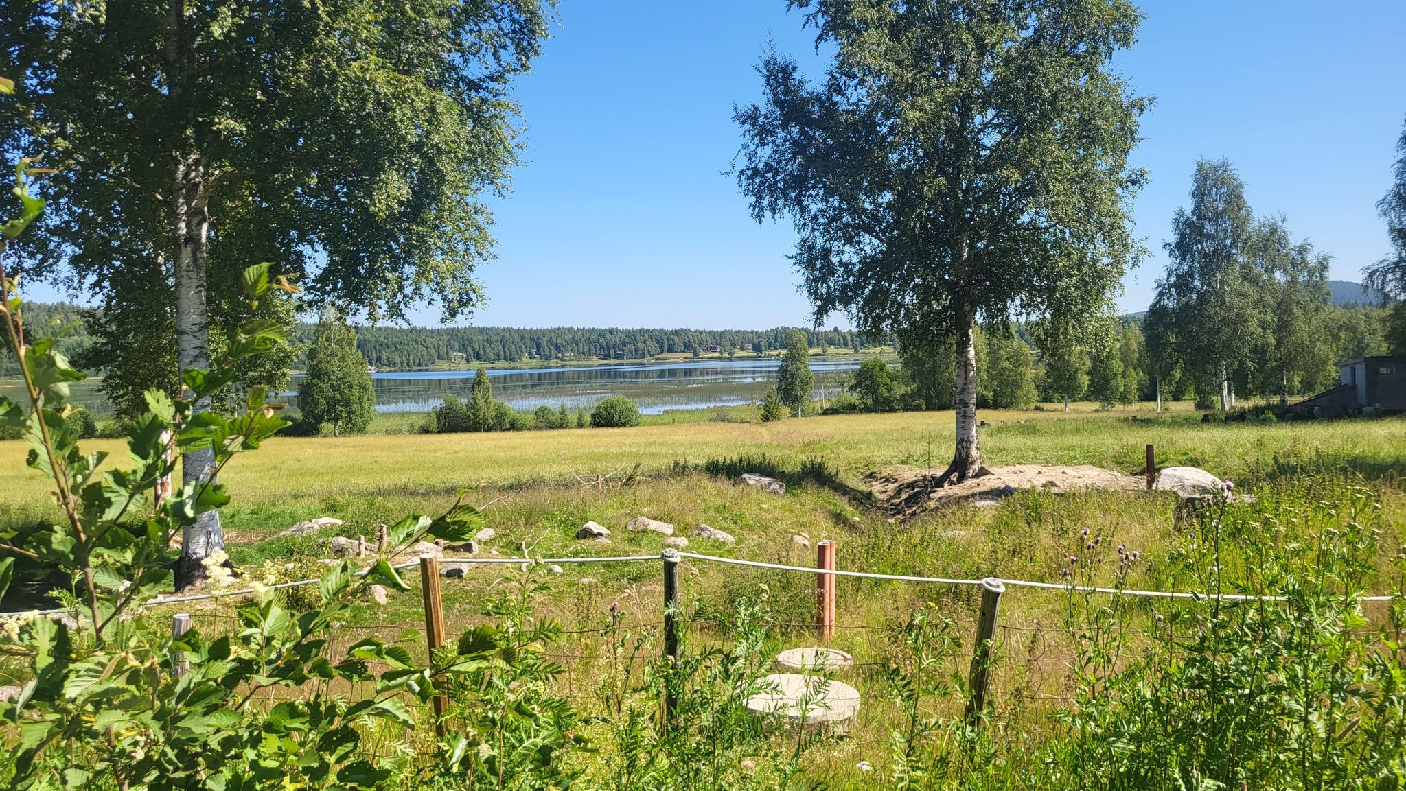 Seesicht