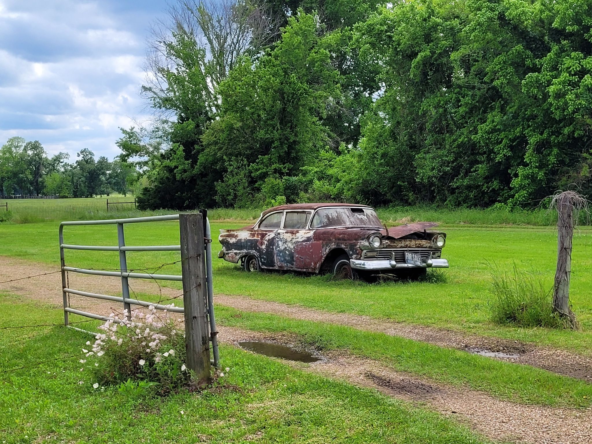 Rusty old car parked in a grassy field near a metal gate. - Lake Rodemacher loop