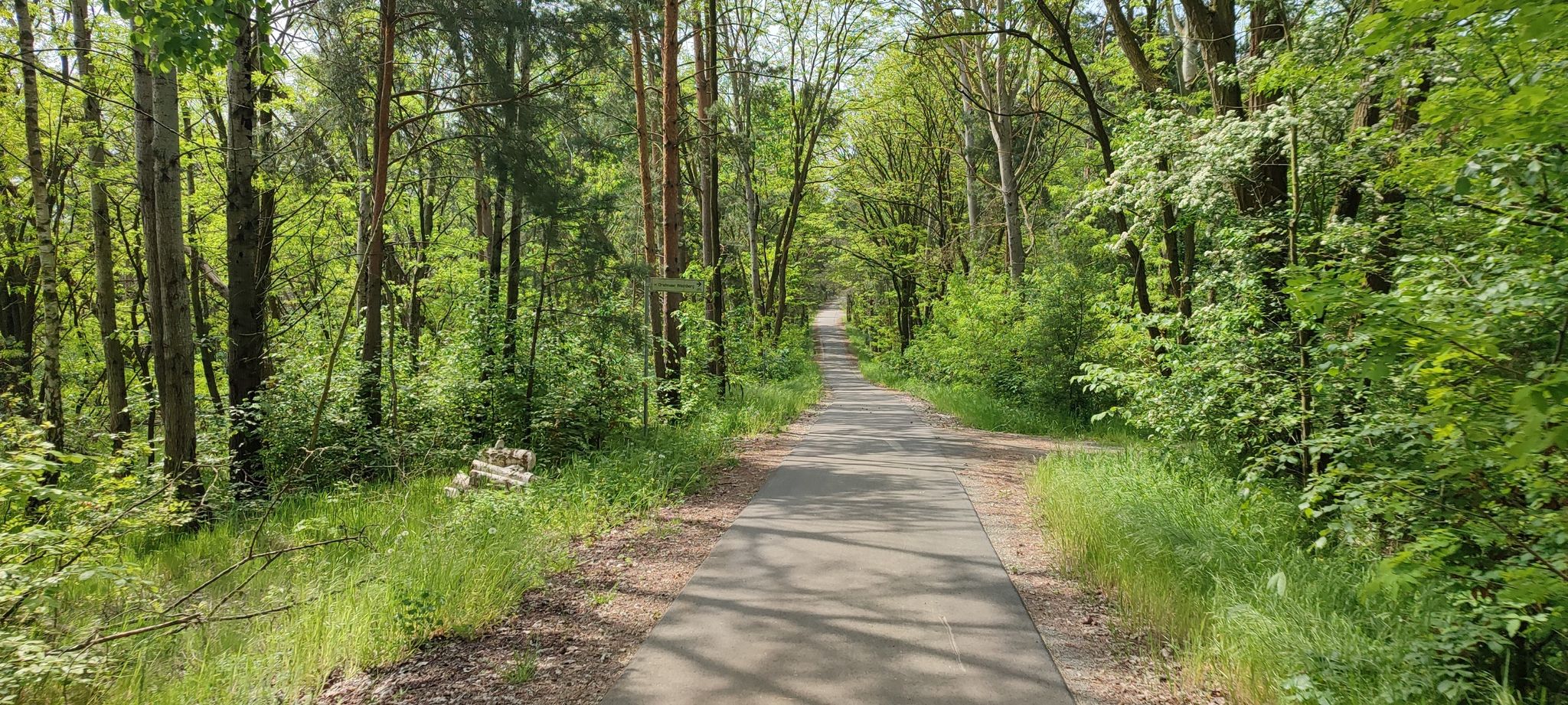 schöner Radweg