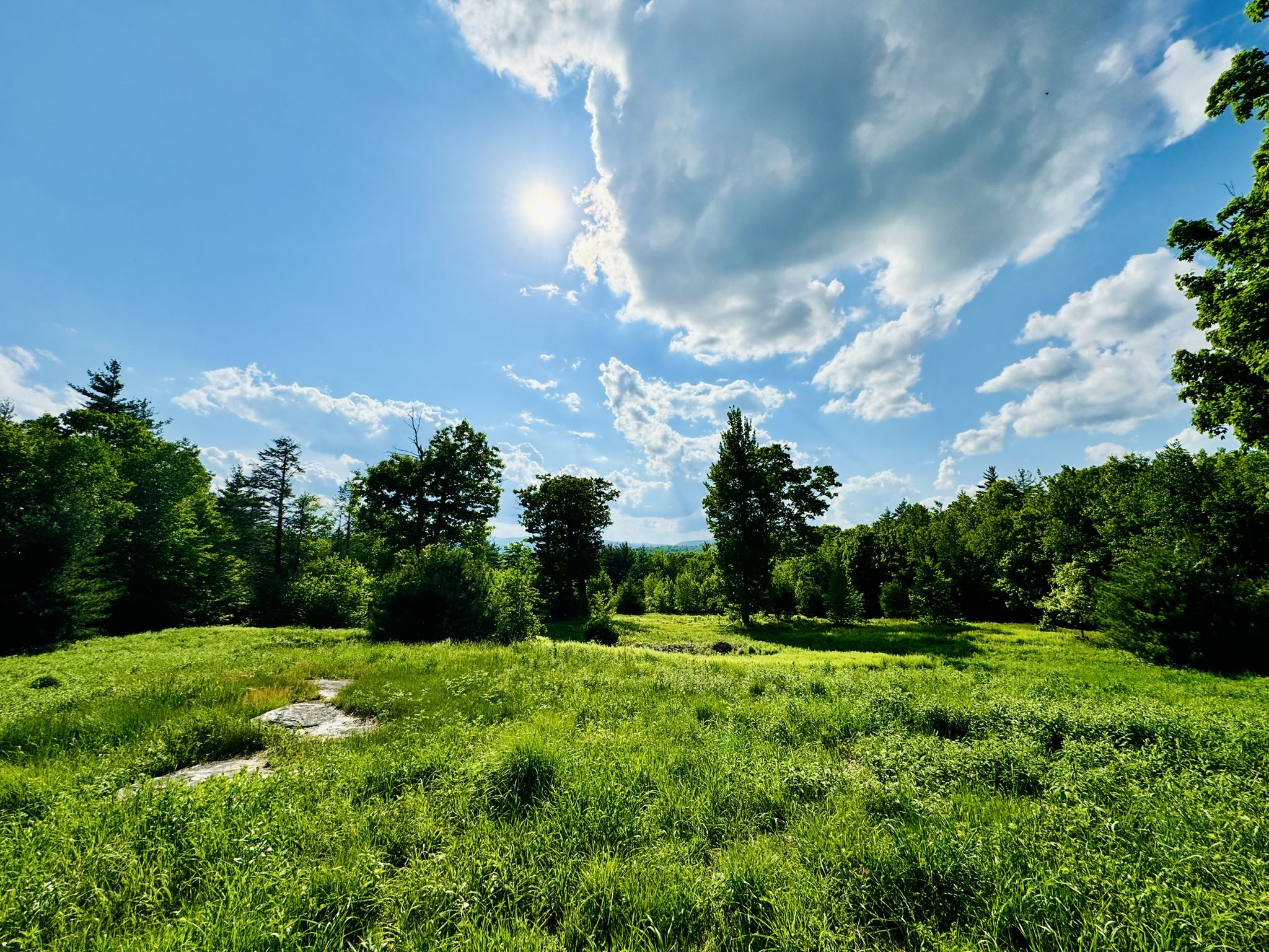A bright sunny day over a wide green field bordered by trees. - Purgatory Falls – Middle Purgatory Falls loop from Purgatory Falls