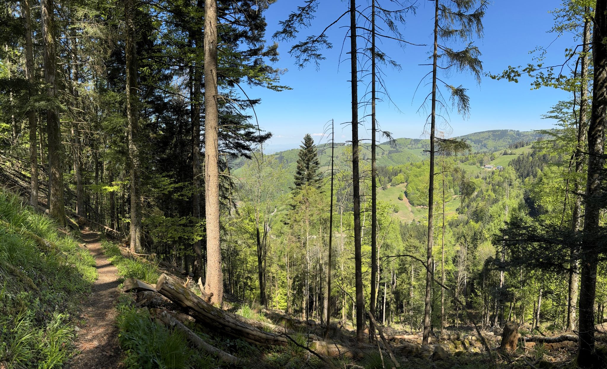 Auf dem Ritterpfad vom Scharfensteinfelsen