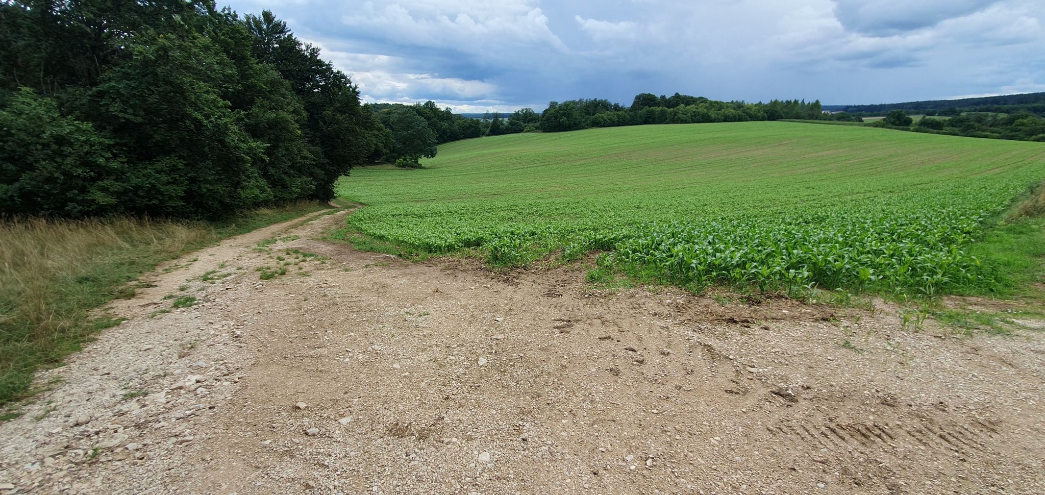 Weg  ins...