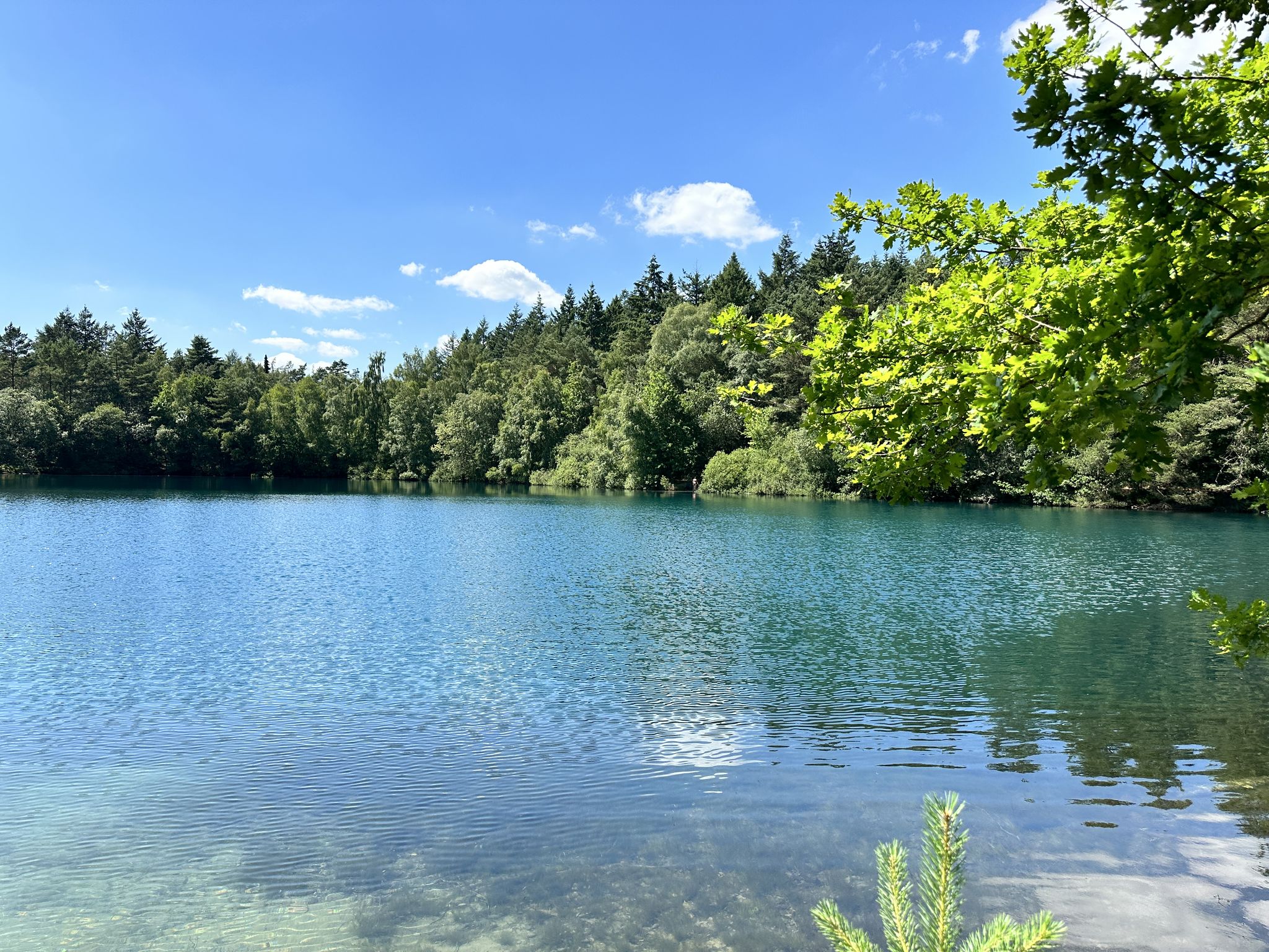 Waldsee Neuenwege