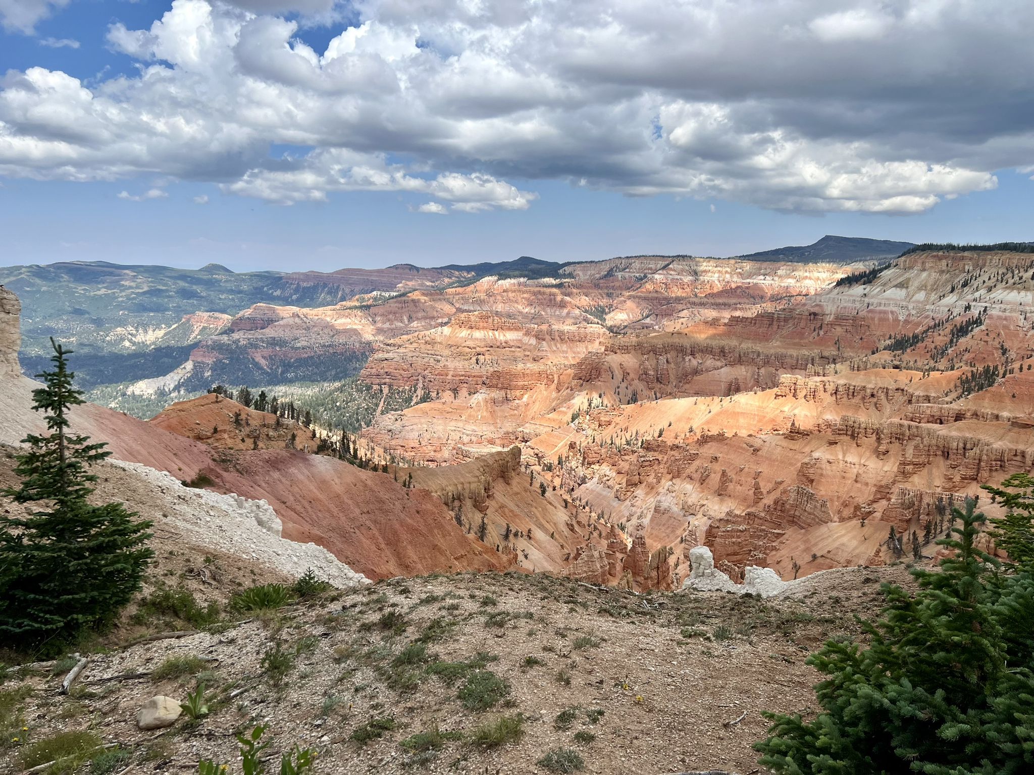 Vast red rock canyon with hoodoos under a partly cloudy sky. - South Rim Trail