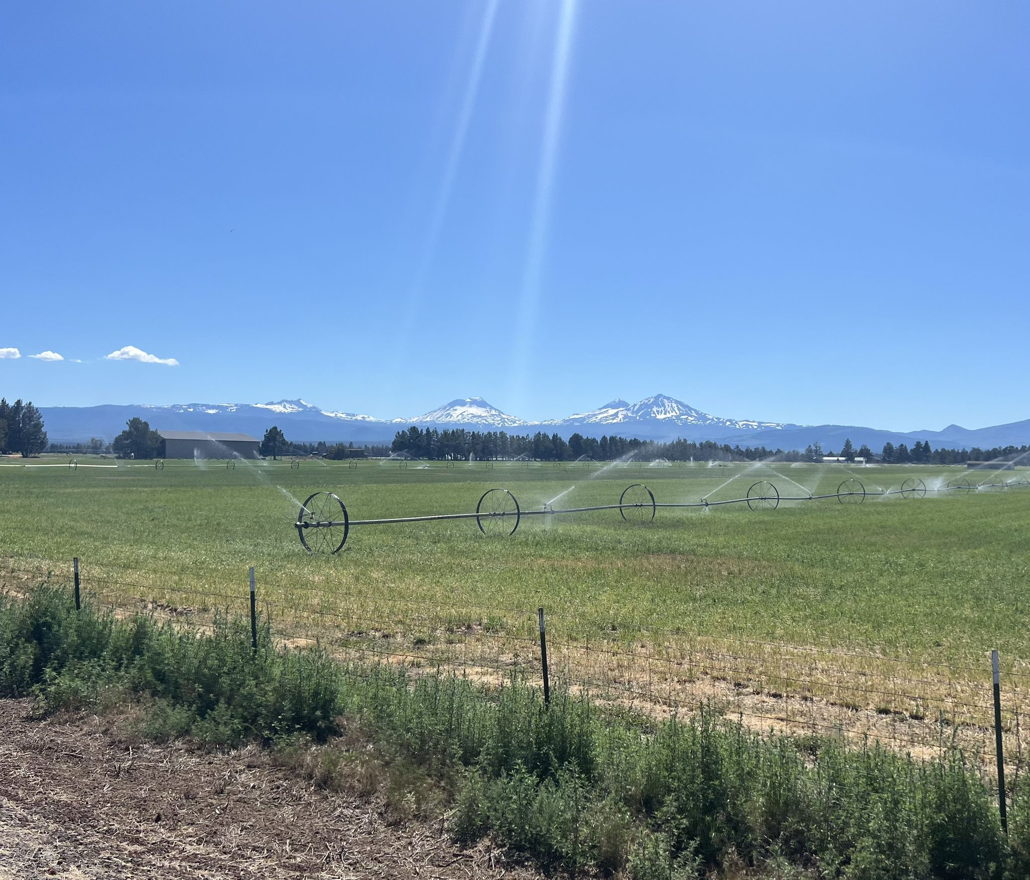 A green agricultural field with sprinklers and distant snow-capped mountains. - Sisters to Smith Rock and Twin Bridges Loop