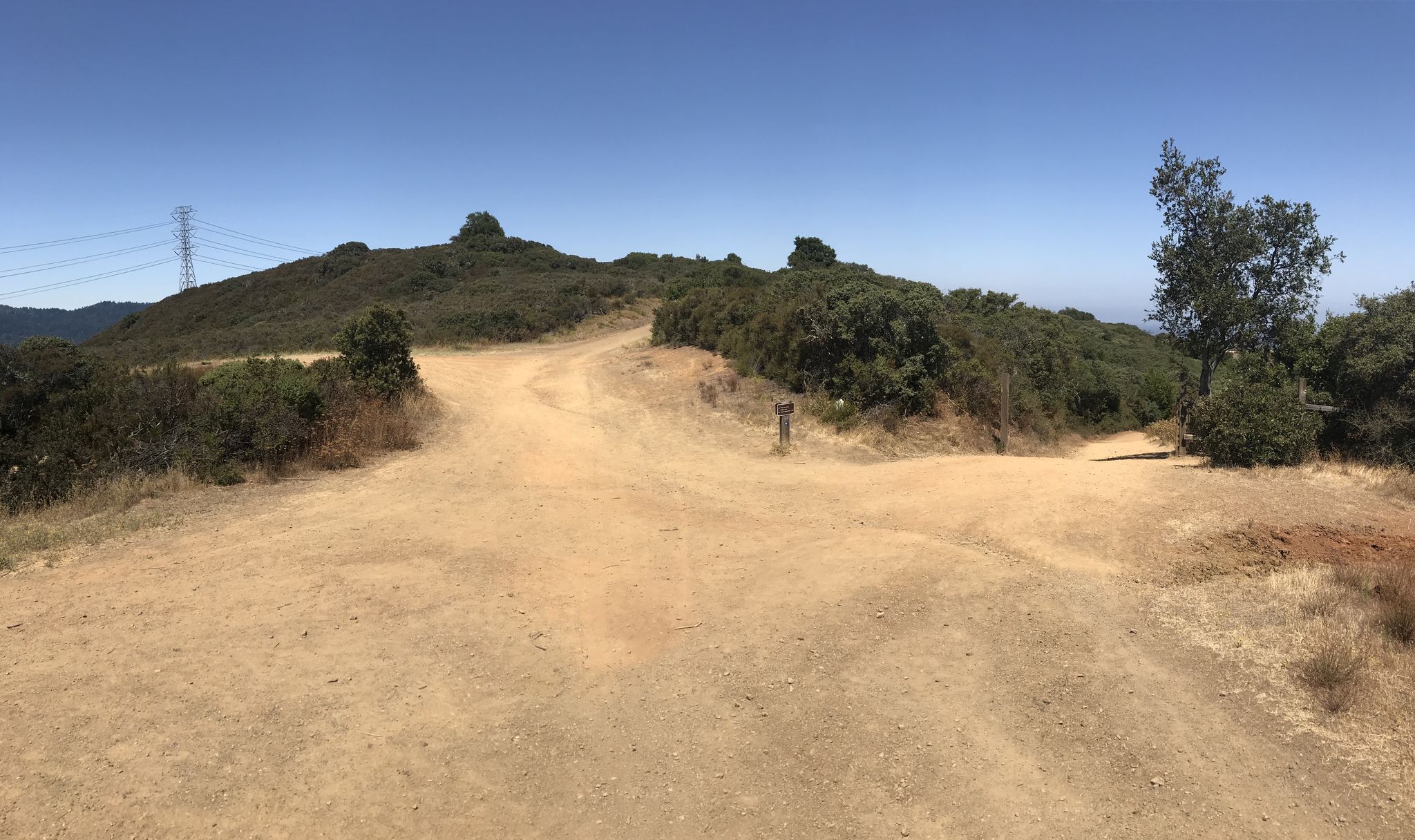 A wide dirt path intersection on a sunny, brush-covered hilltop. - Limekiln Trail – Sierra Azul Open Space loop from Lexington Reservoir County Park