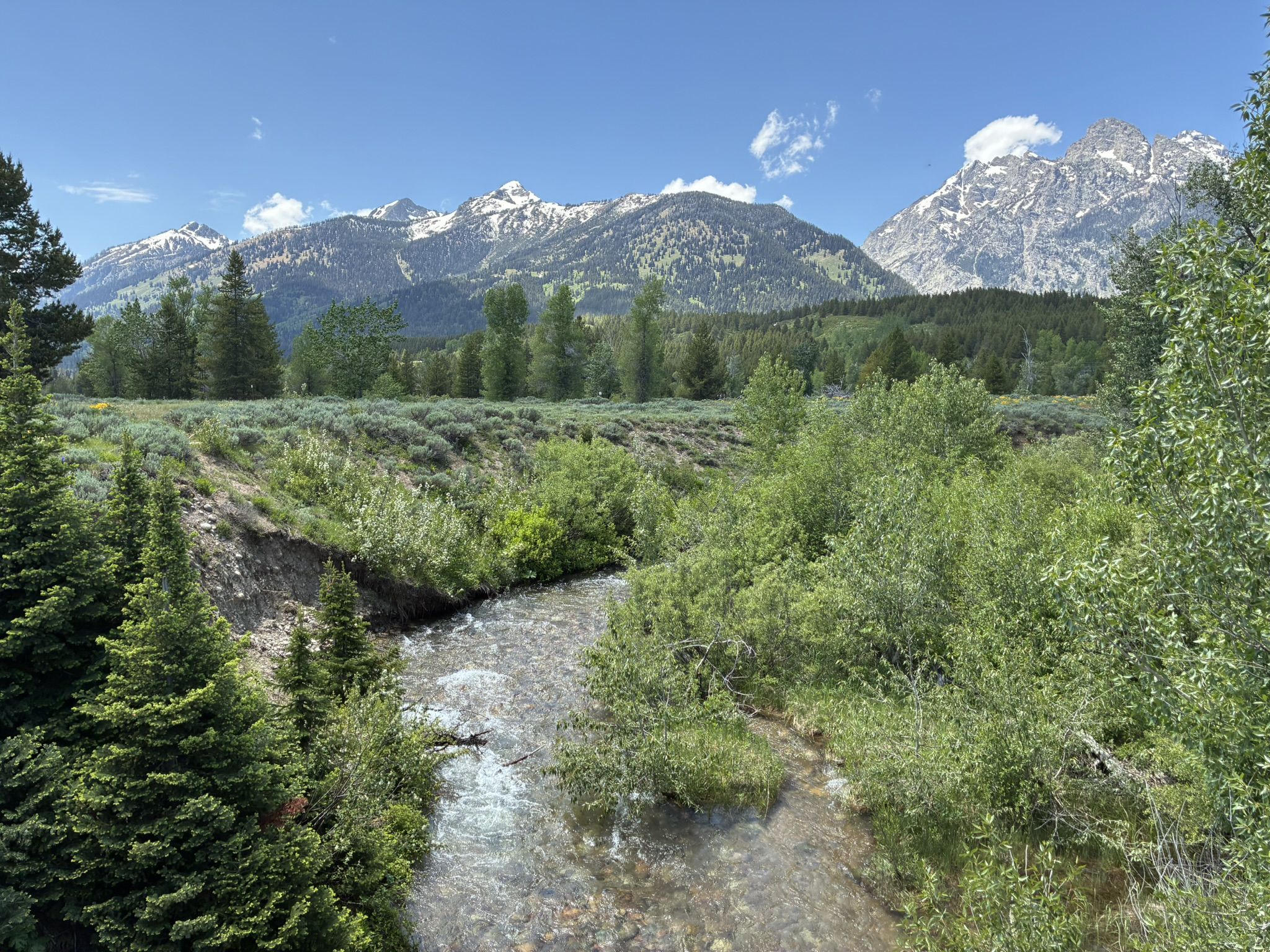 Clear stream winding through green forest with snow-capped mountains. - Moose Junction – Jenny Lake loop from Hardeman Barns