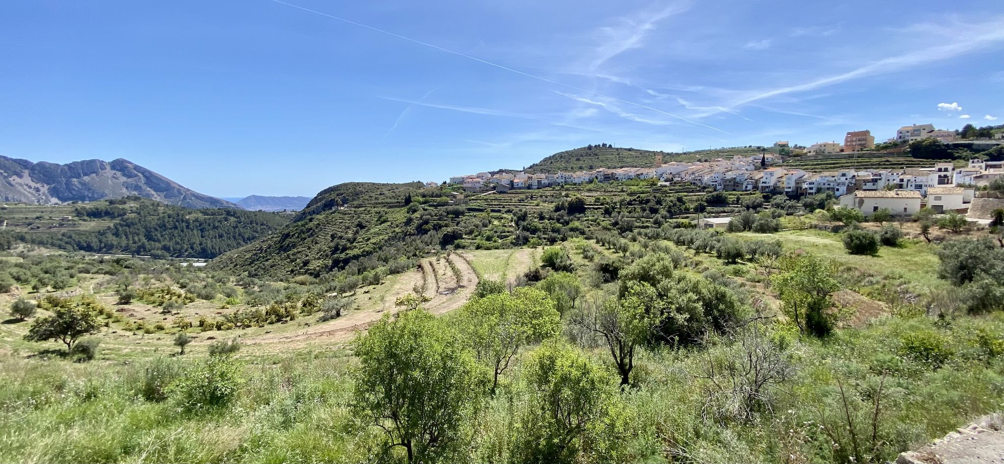 Tàrbena