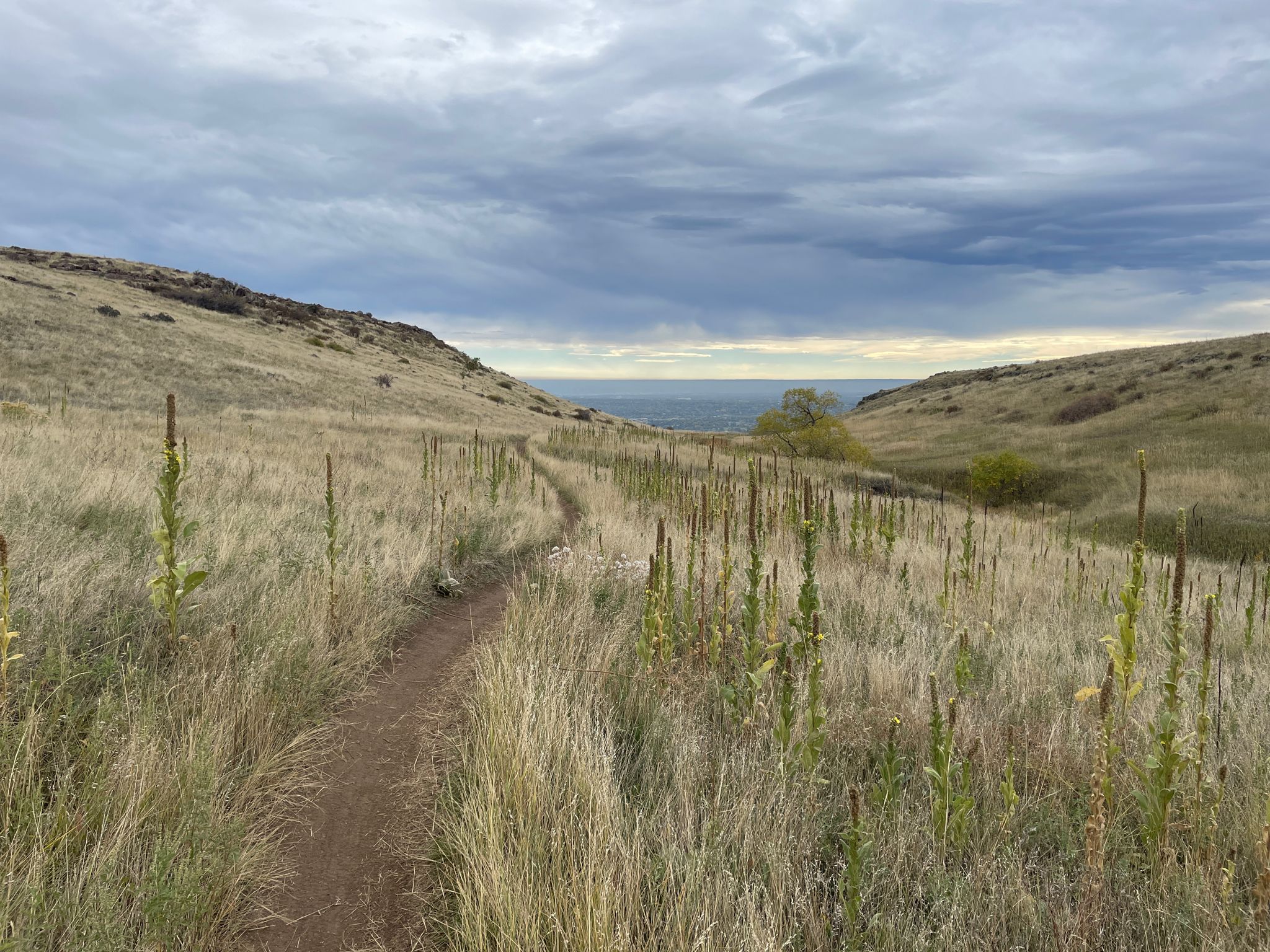 A dirt path winds through dry grassy hills under an overcast sky. - North Table Loop Trail