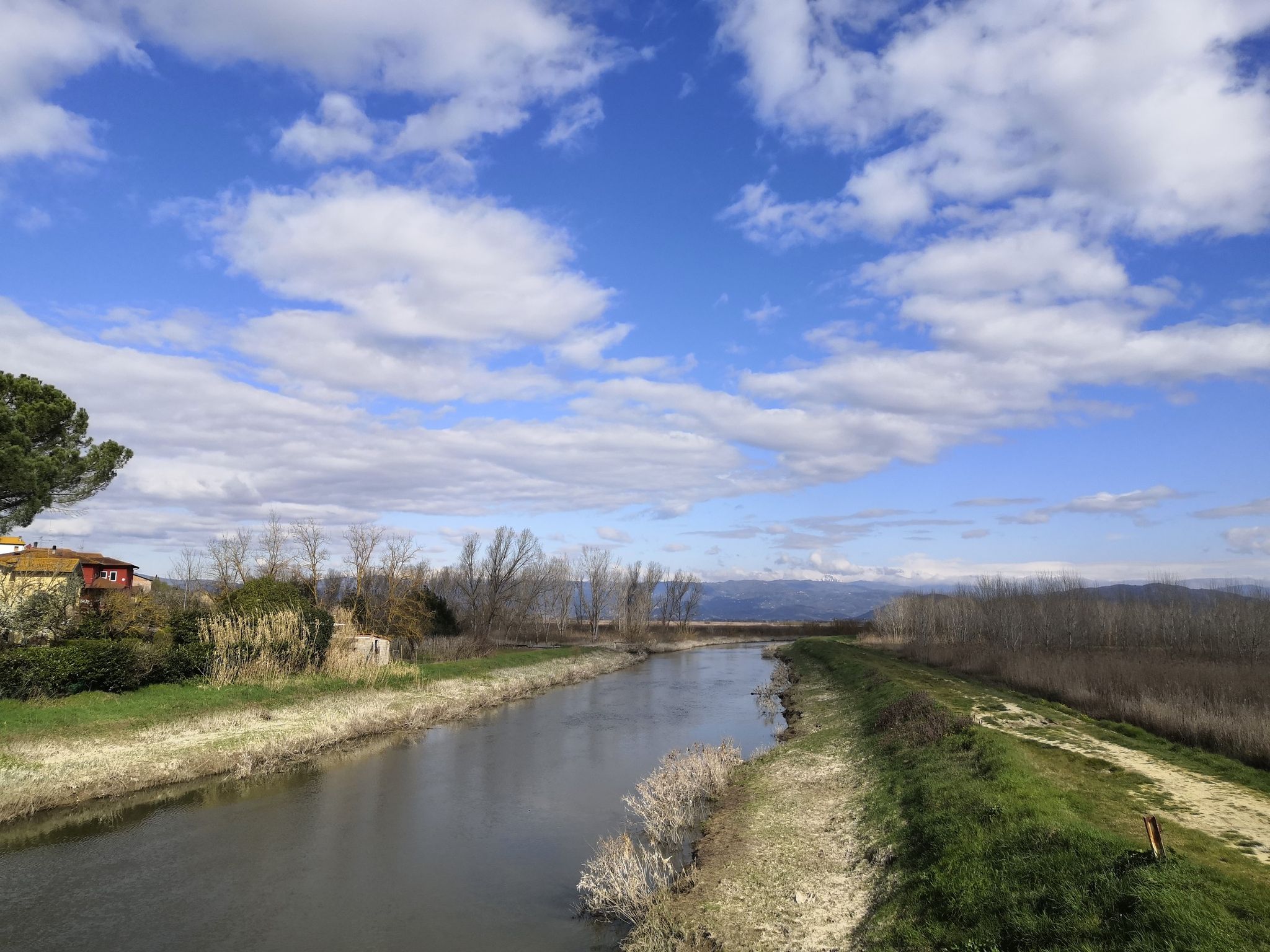 Padule di Fucecchio ( Canale Maestro )