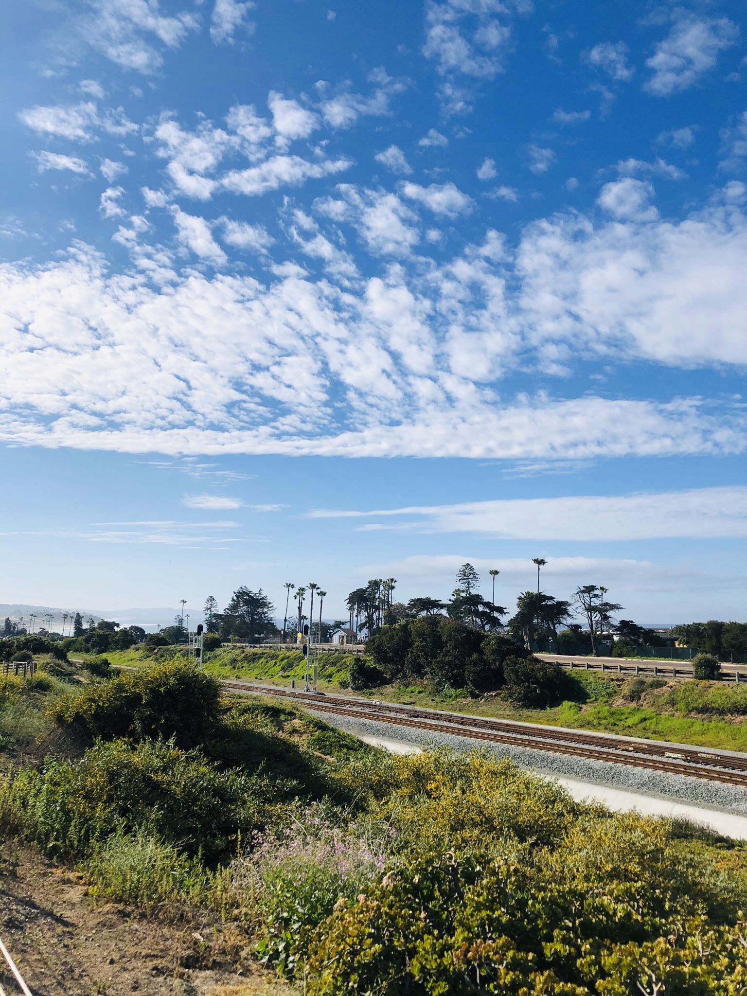 Train tracks run through green landscape towards the ocean under a cloudy sky. - Coastal Rail Trail