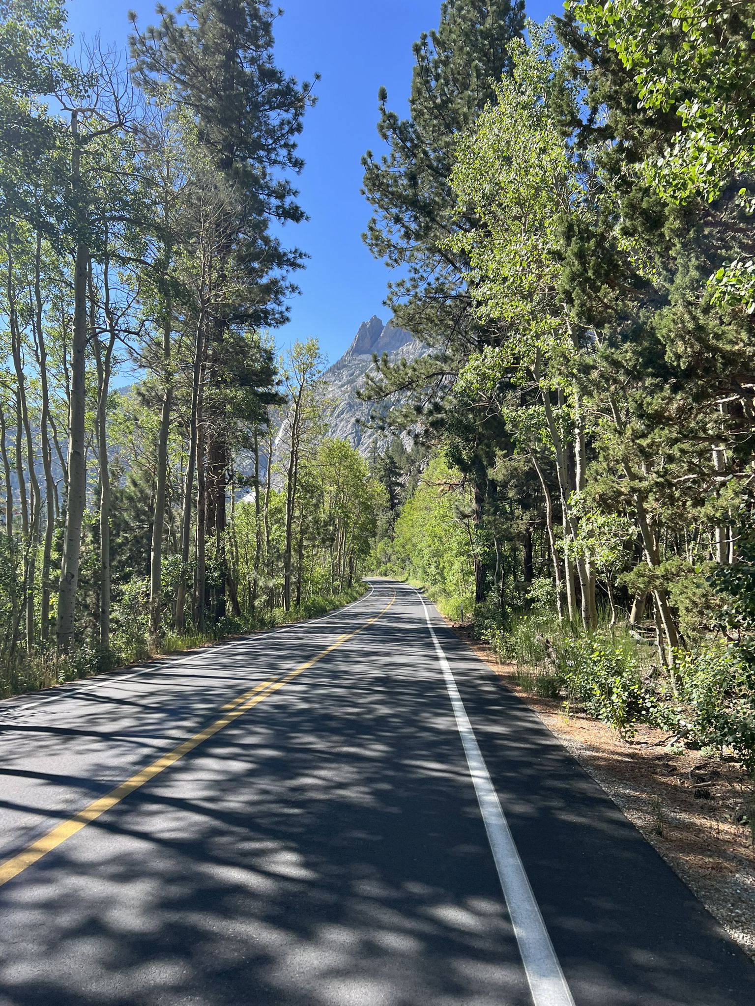 Paved road lined with tall trees, leading towards a distant mountain peak. - June Lake Loop