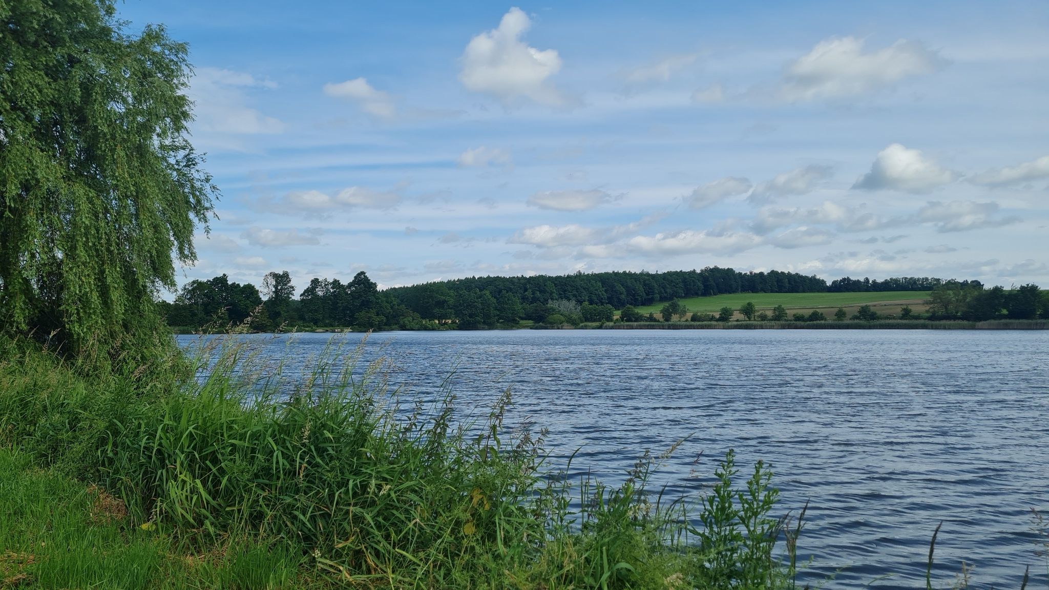 Langer Teich