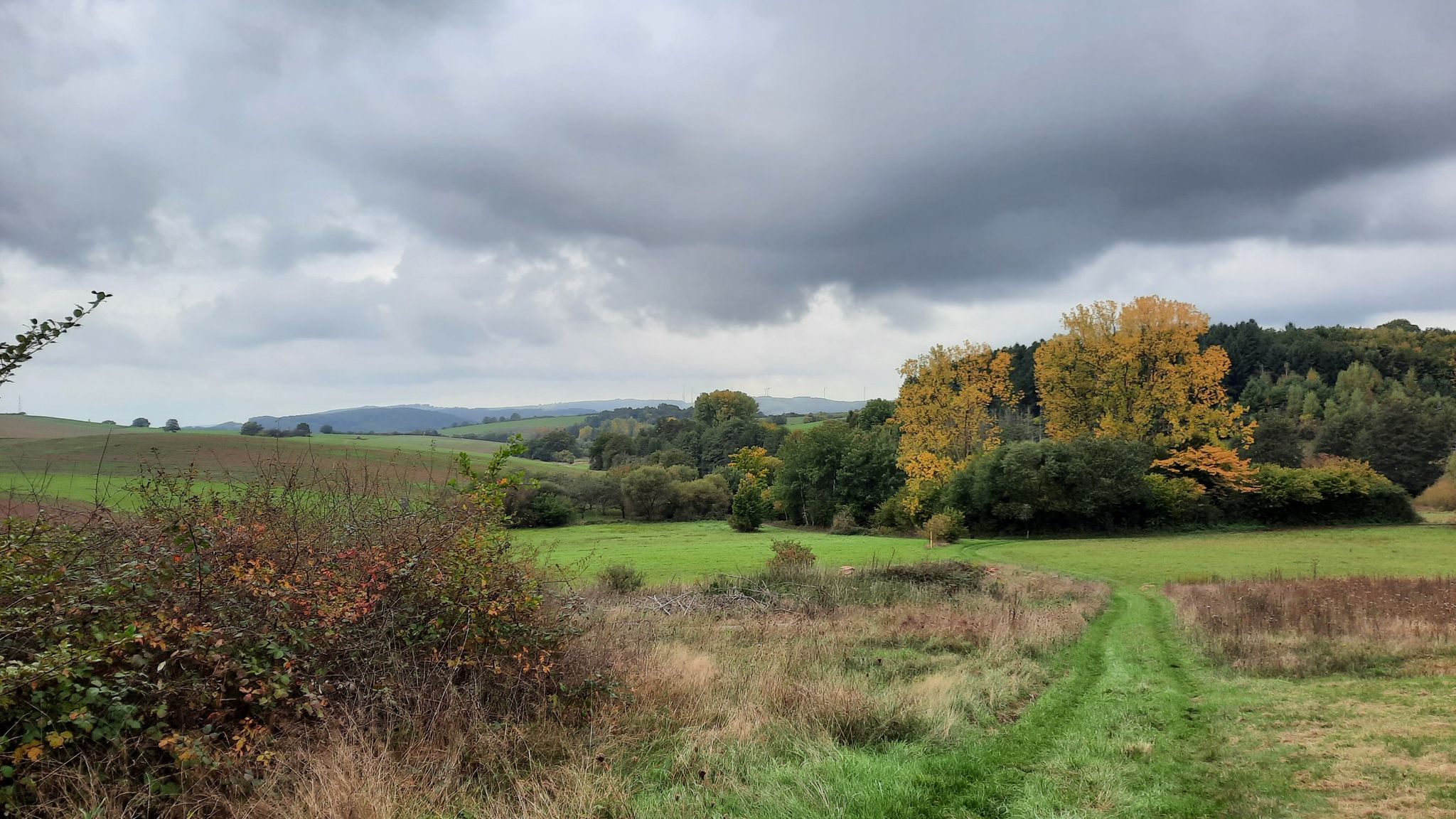 Landschaft bei Katzweiler