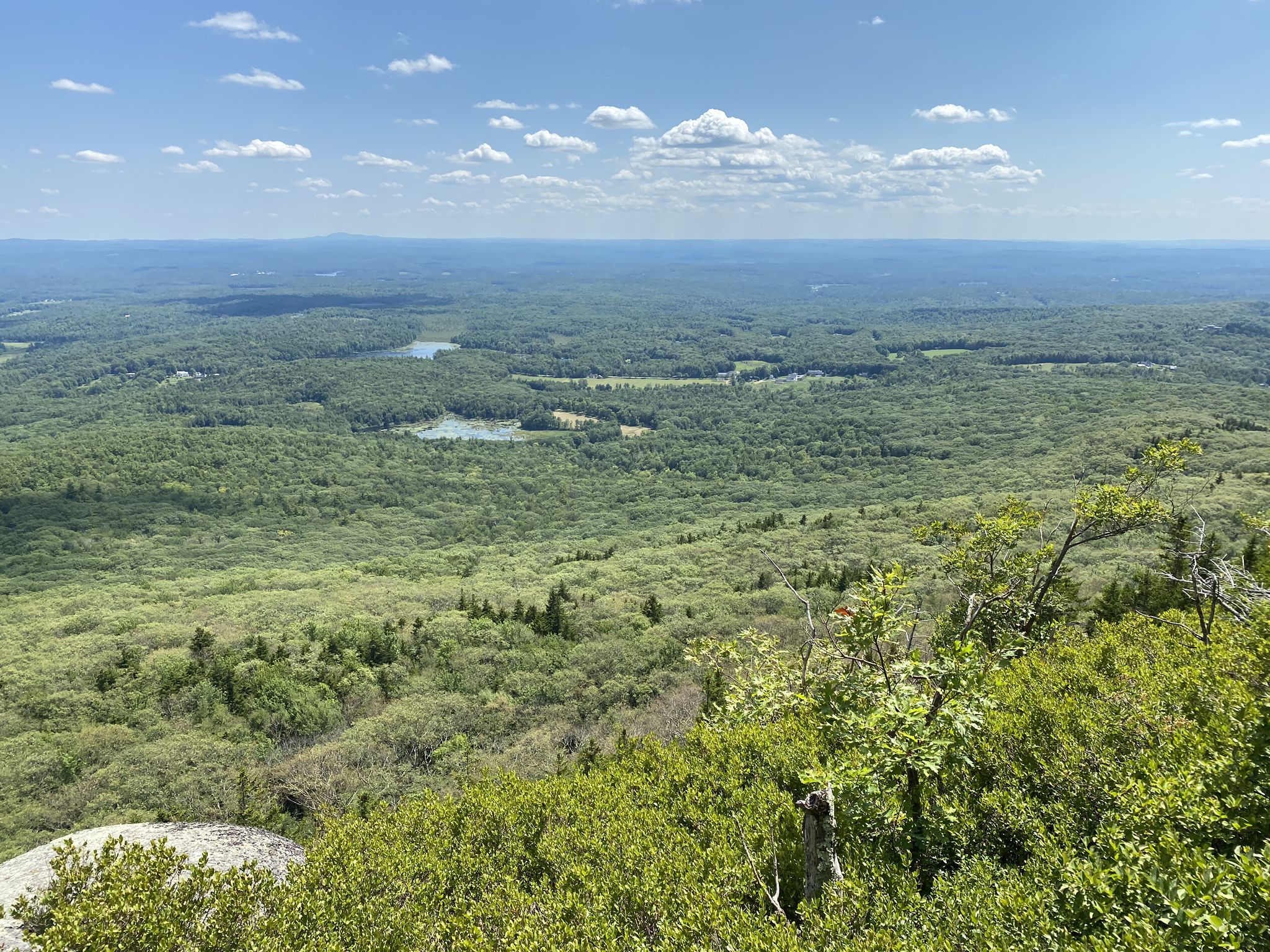 Expansive green forest landscape with distant lakes under a blue sky. - Parker and Lost Farm Trail Loop