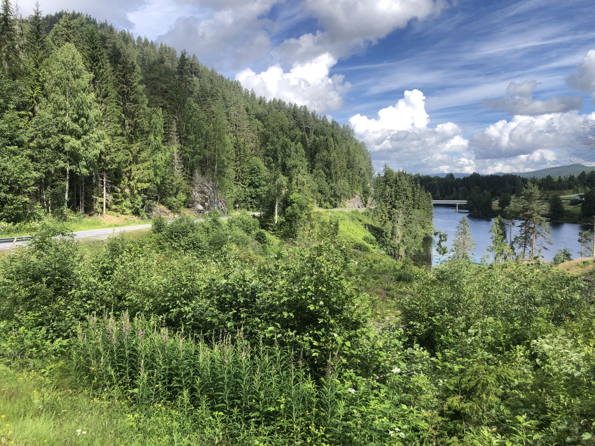 Am Fluss Snarumselva