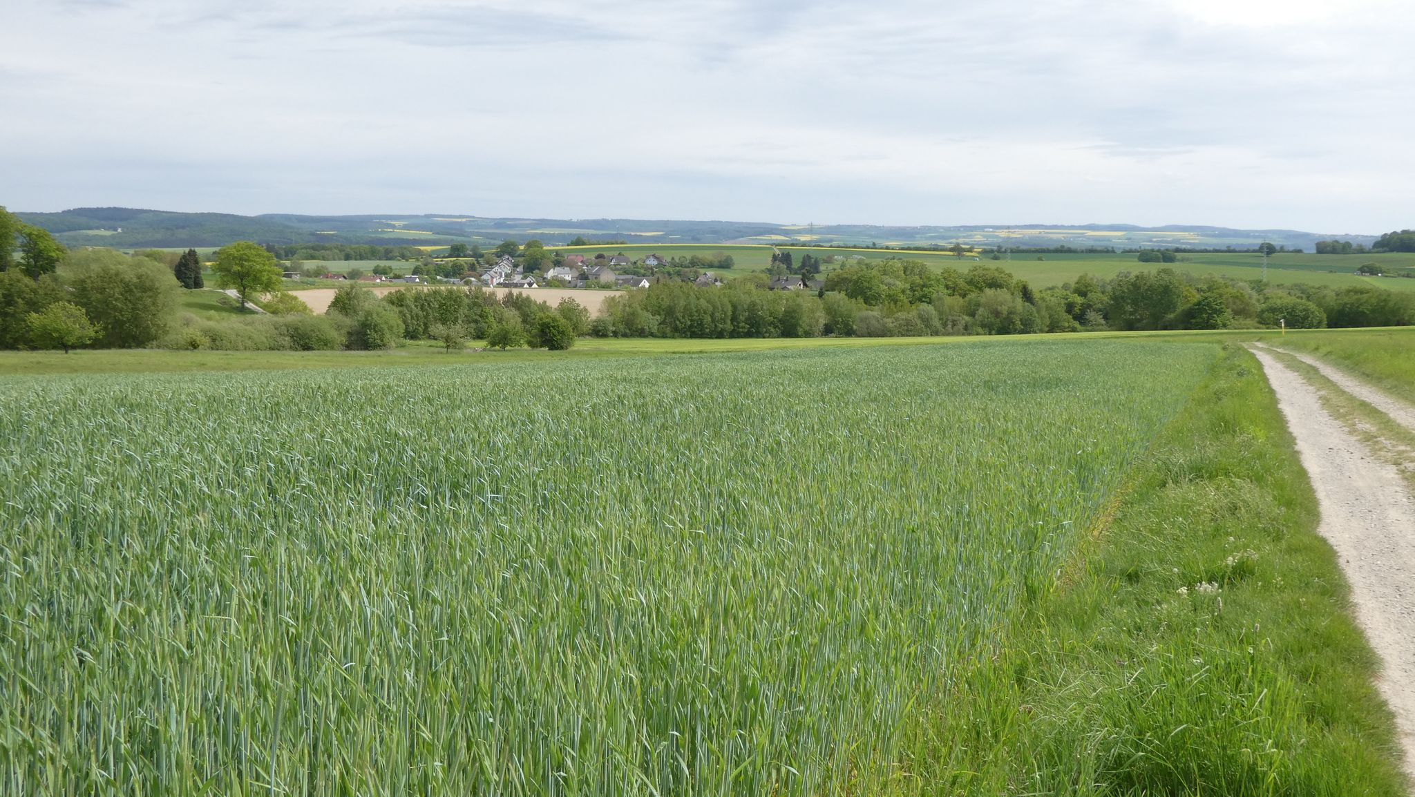 Blick auf Prath, von hier kann man am Horizont auch Weisel erkennen