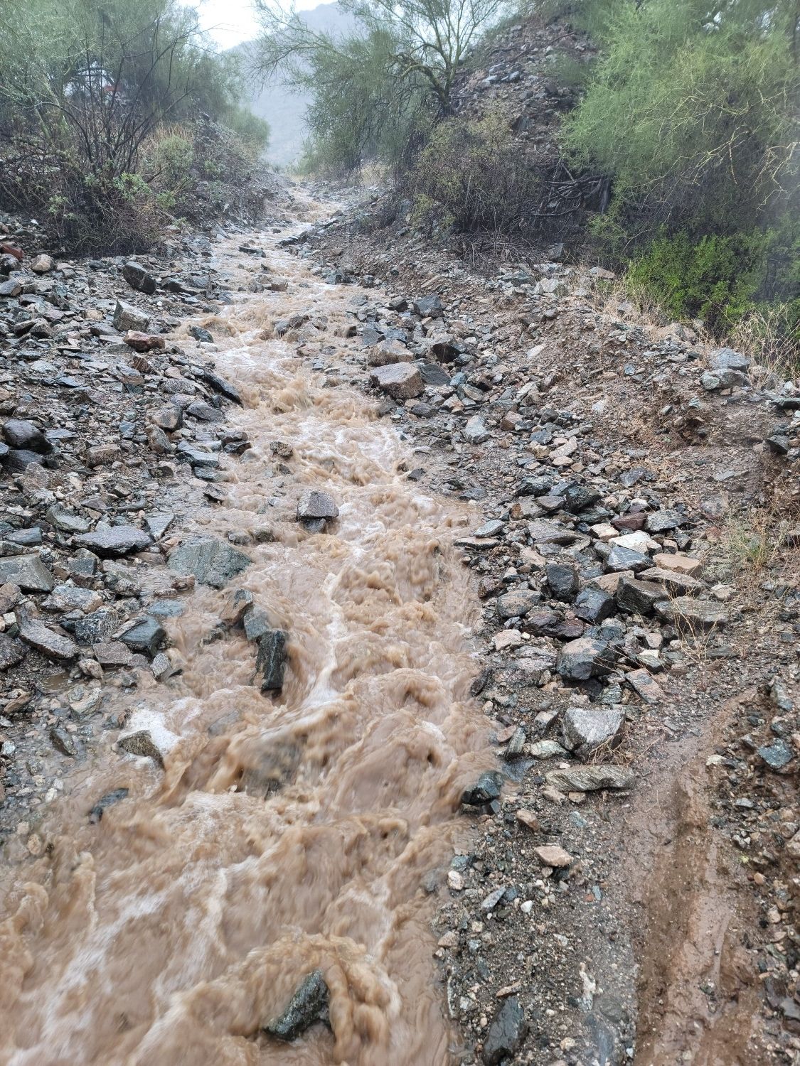 Muddy, fast-flowing water rushes down a rocky, vegetated streambed on an overcast day. - National Trail, South Mountain – National Trail (west side) loop from Bursera Trailhead