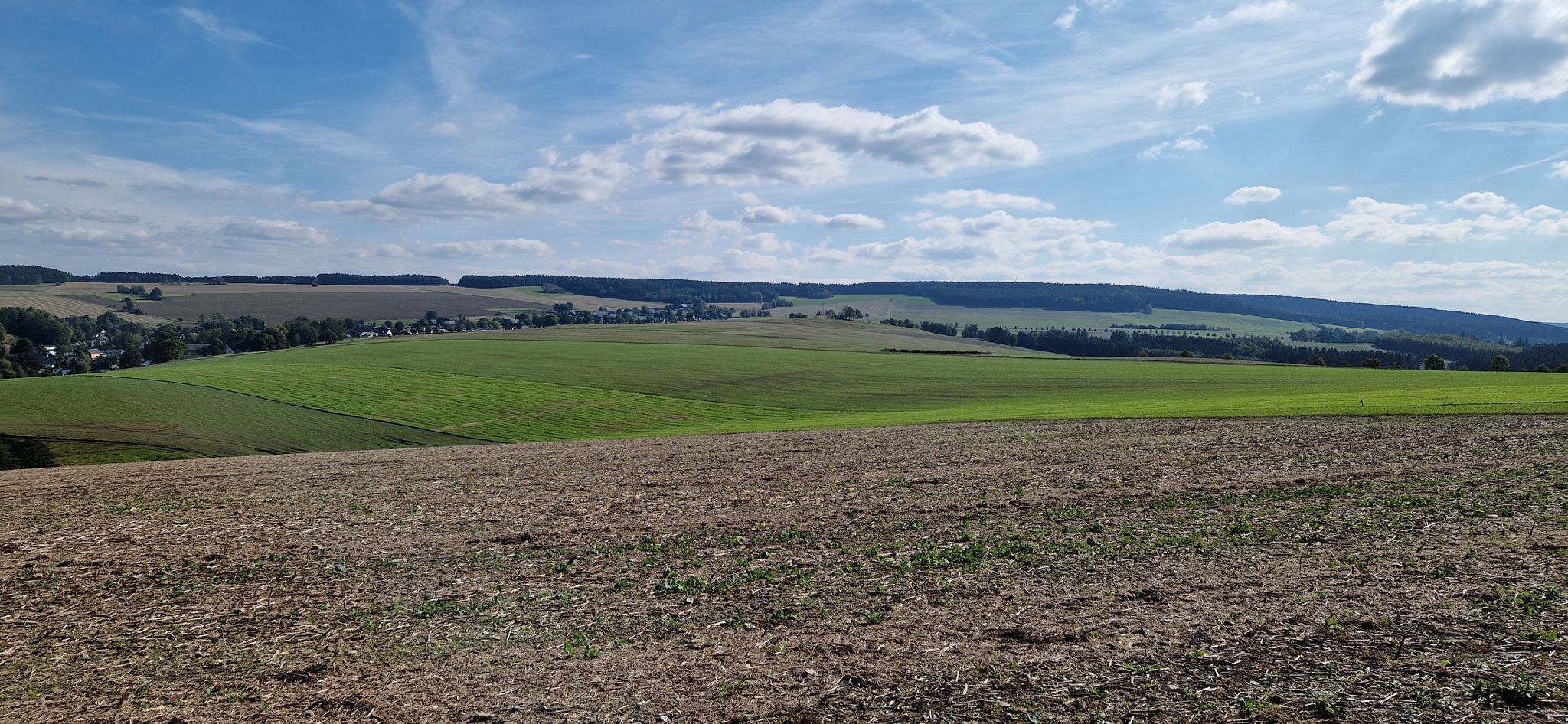 Blick Richtung geyrischen Wald