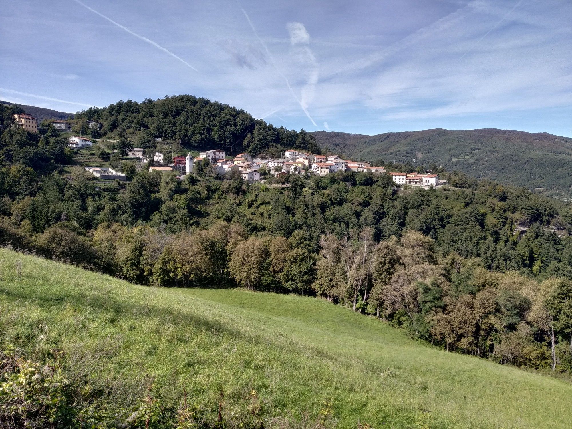 Miscoso