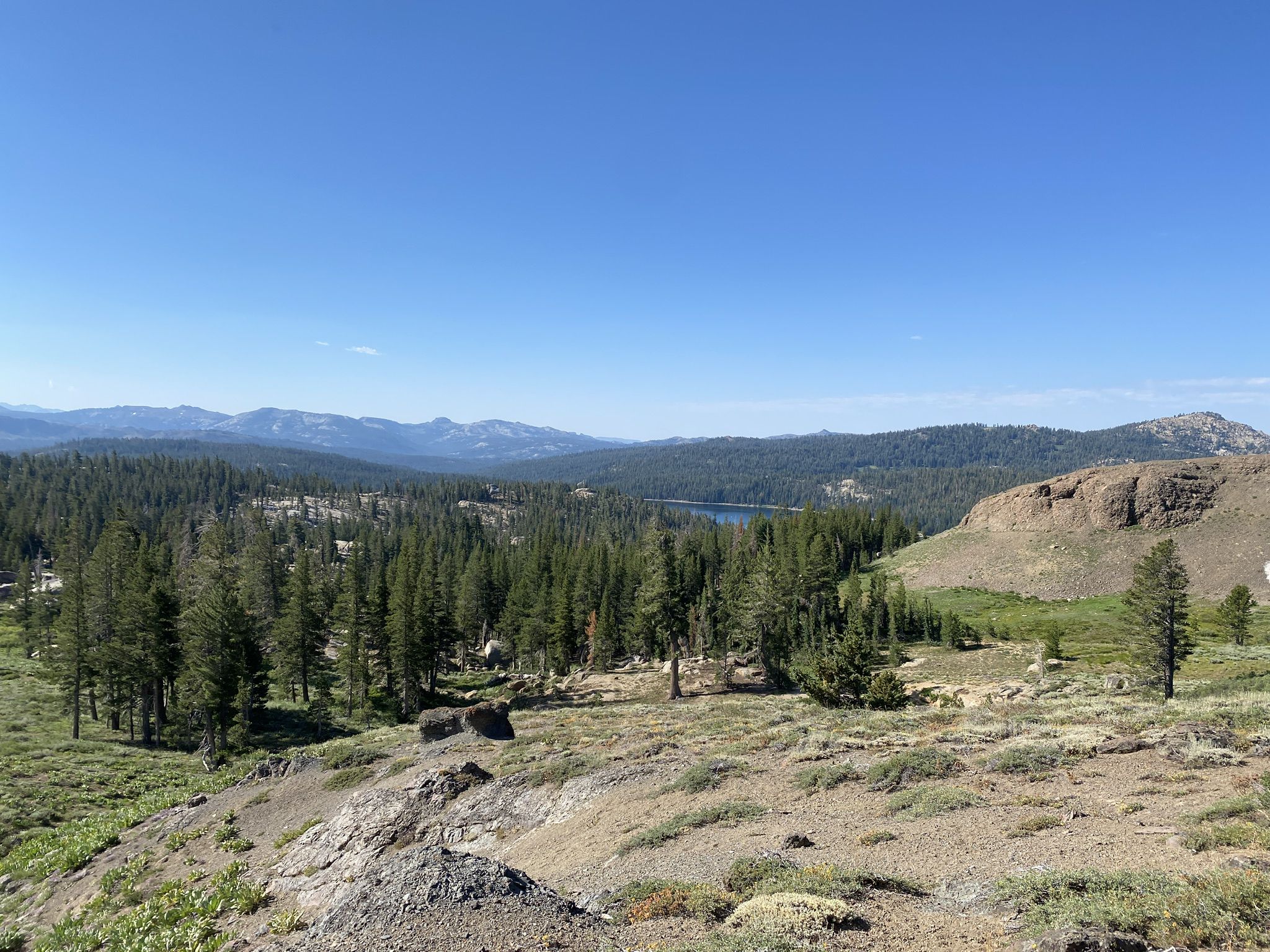 Panoramic view of a lake surrounded by dense pine forests and distant mountains. - The Nipple Trail