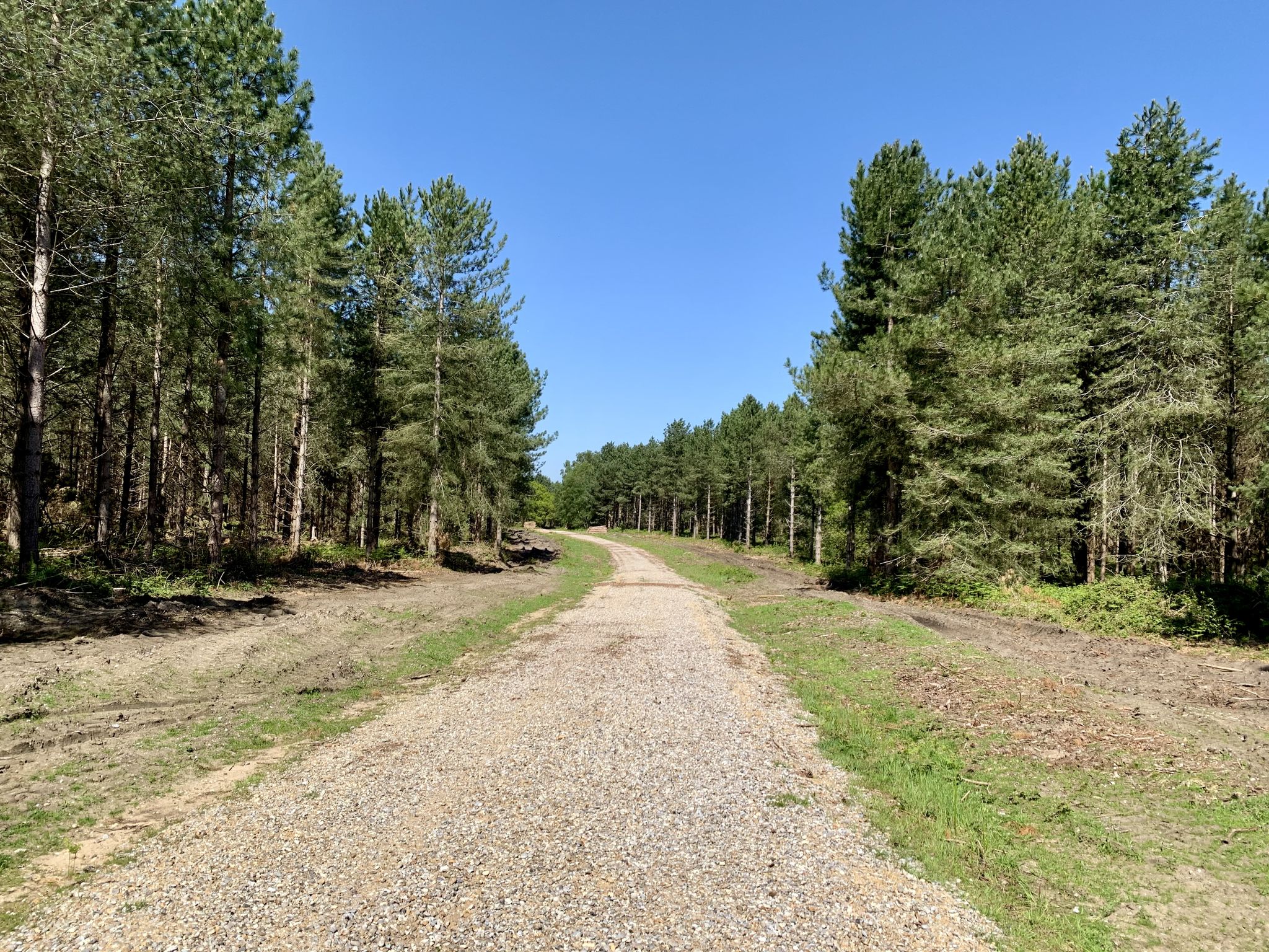 Main artery track