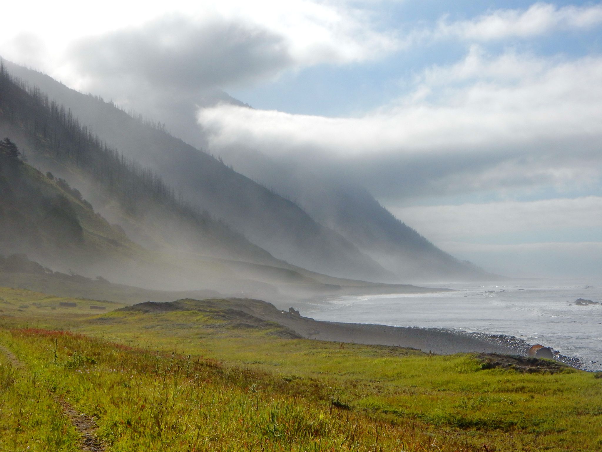 Misty coastal landscape with forested mountains shrouded in fog overlooking the ocean. - Spanish Creek crossing – Lost Coastal Trail loop from Kinsey Creek