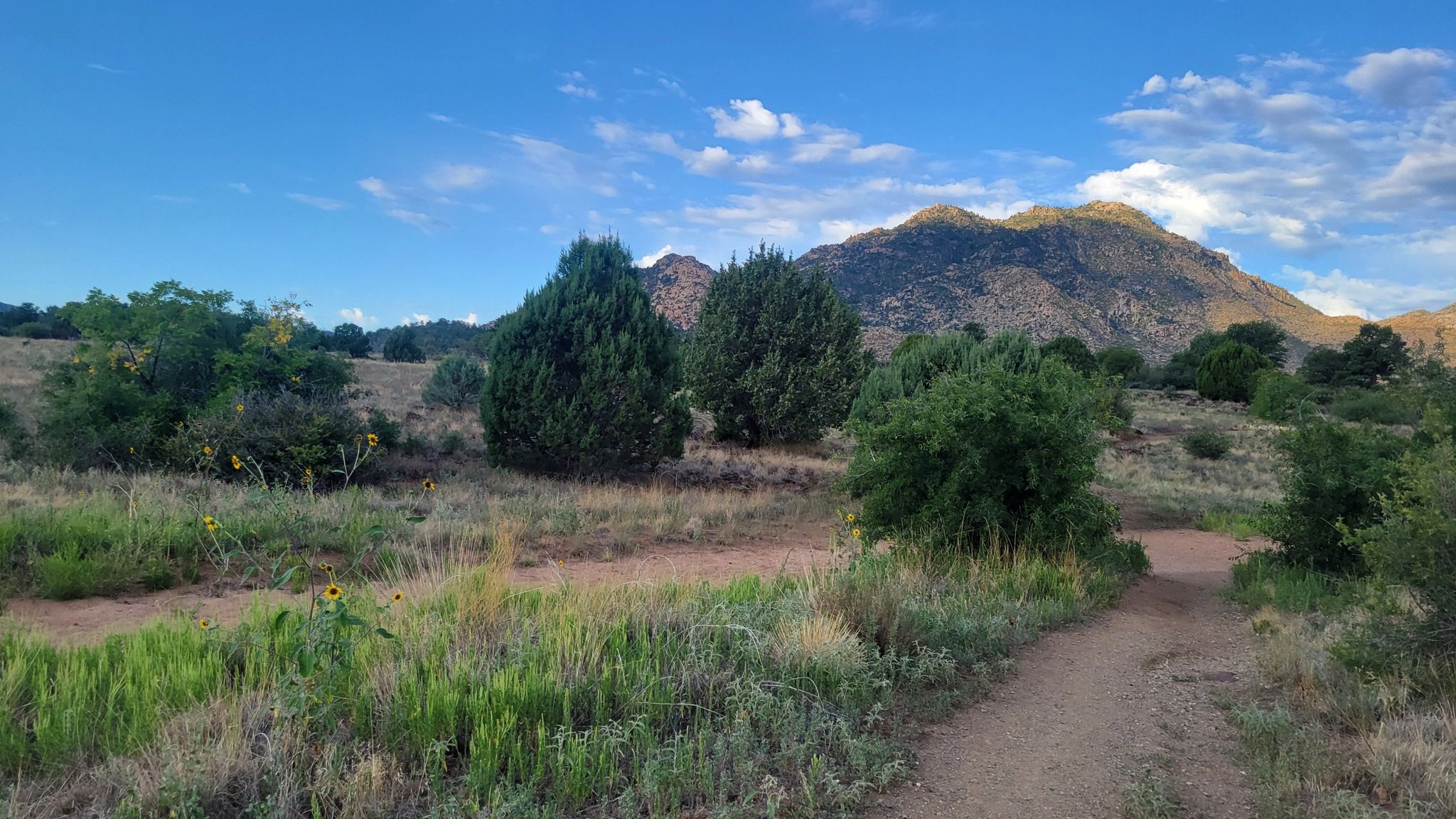 Dirt path winding through arid landscape towards distant mountains under blue sky. - Mint Wash and Mint Wash Overlook Loop