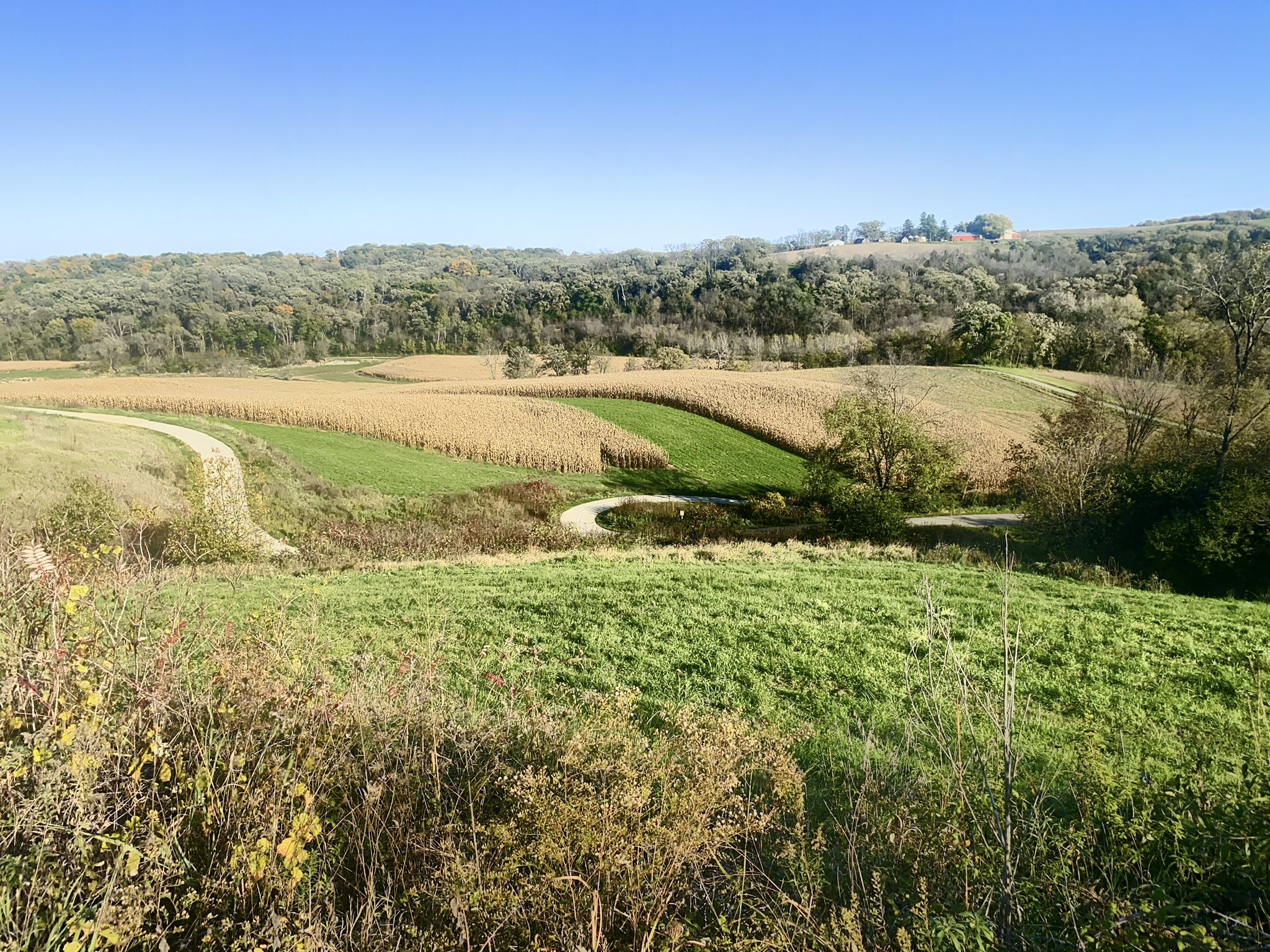 Winding path through green and golden fields, forested hills under clear sky. - Trout Run Trail