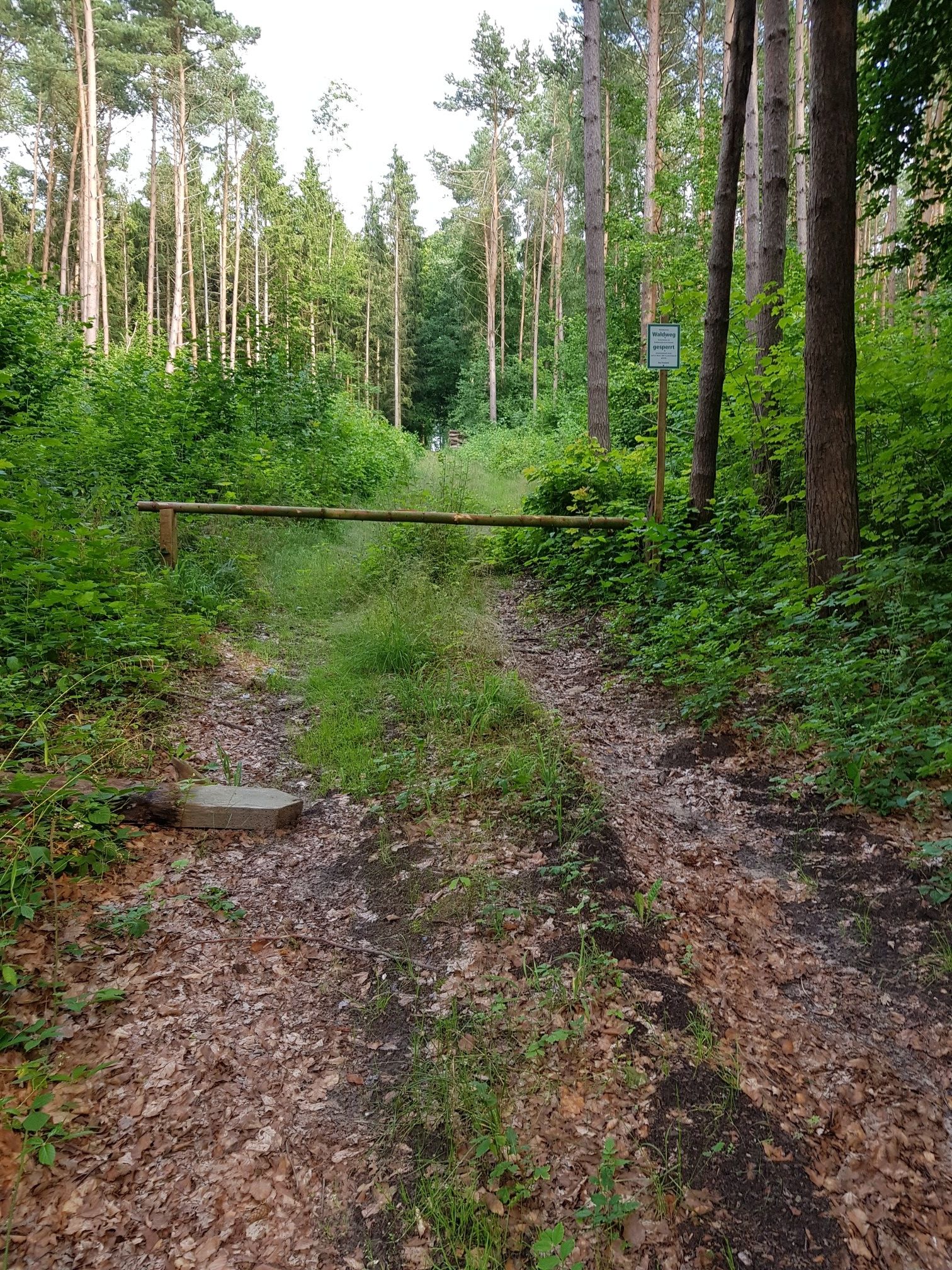 so was kann auch passieren,  Alternative in ca 700m links