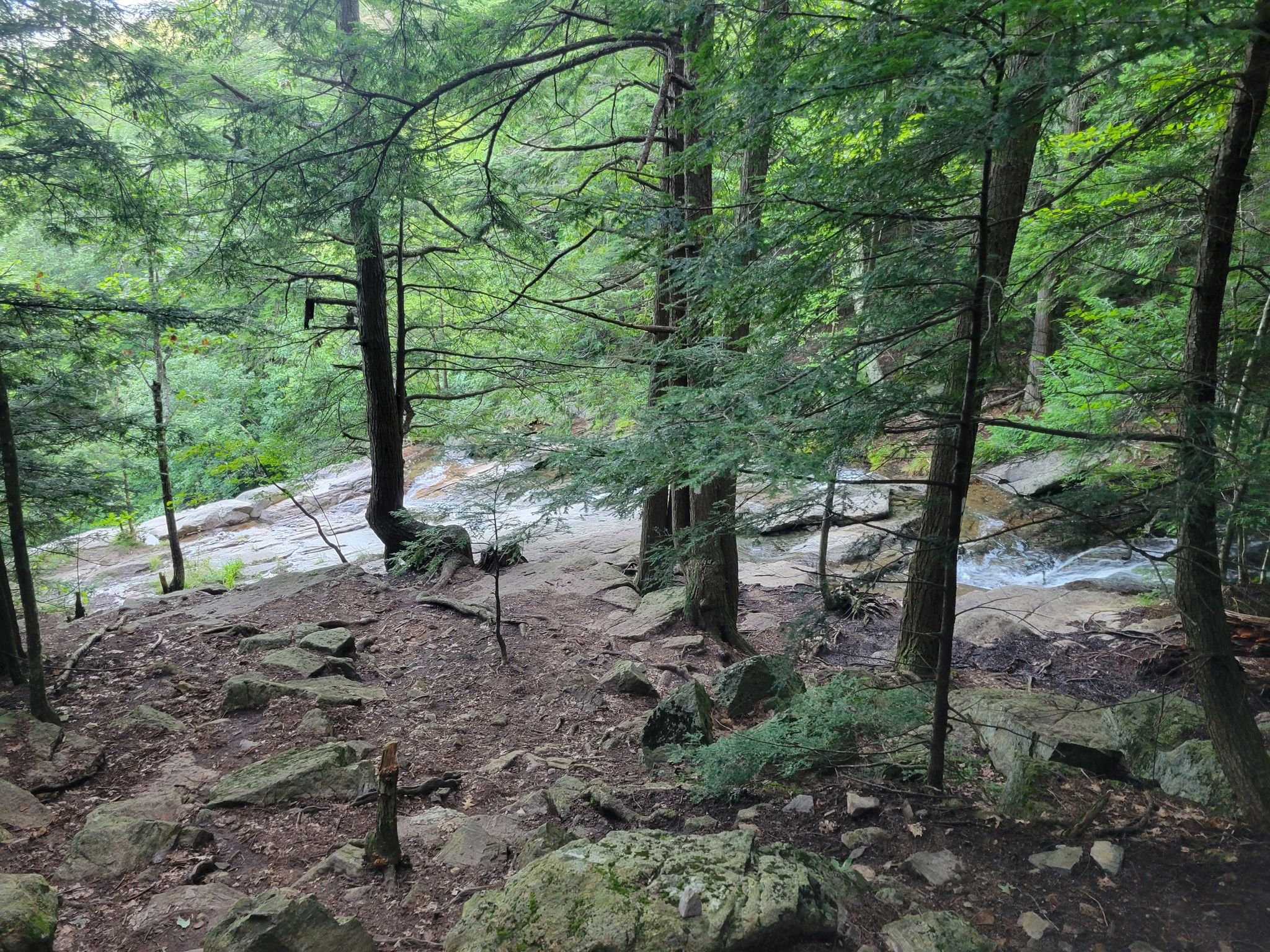 Dense green forest with rocky ground sloping down to a flowing stream. - Weathersfield Trail