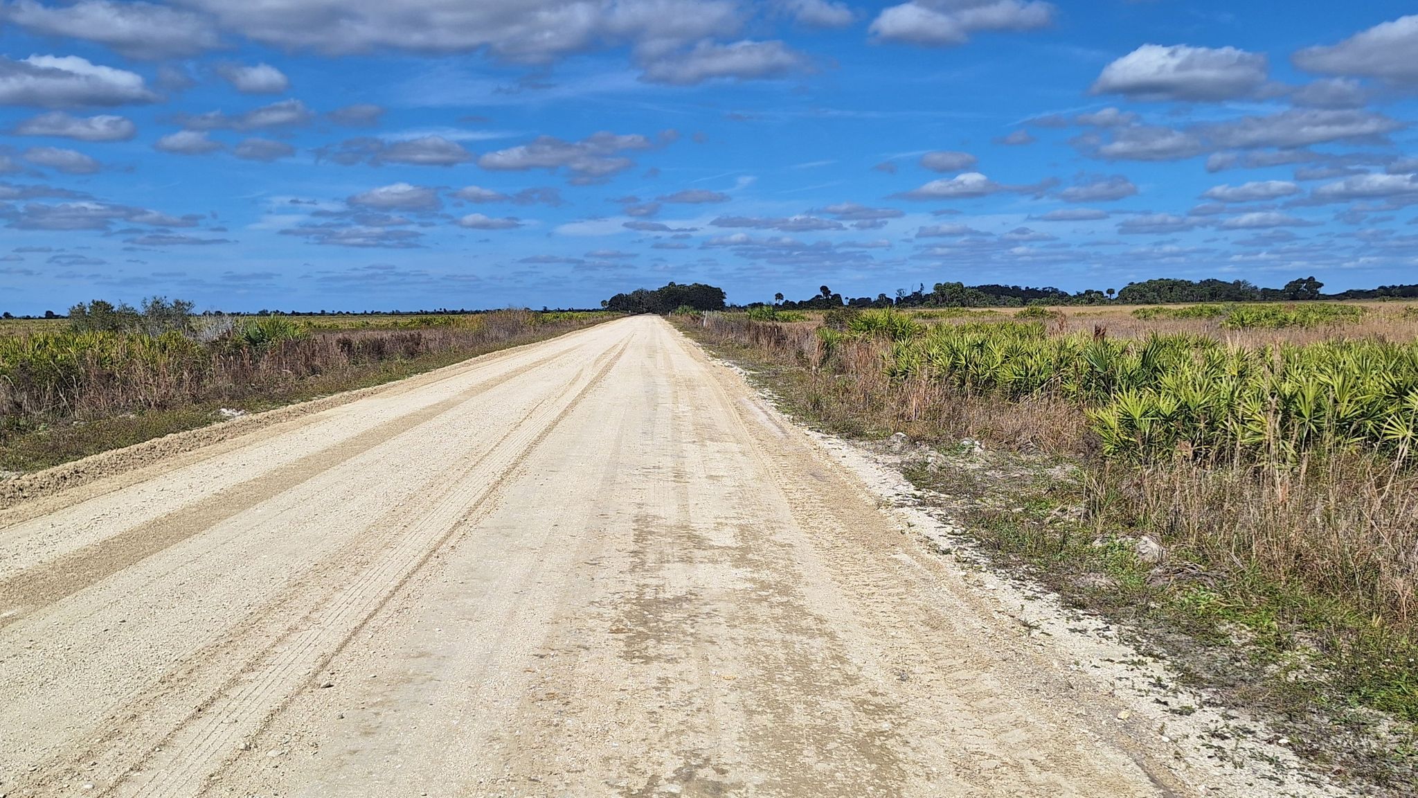 A long, straight dirt road stretches through flat, sunny fields under a blue sky. - Kilpatrick Homestead and Hammock Trail Loop