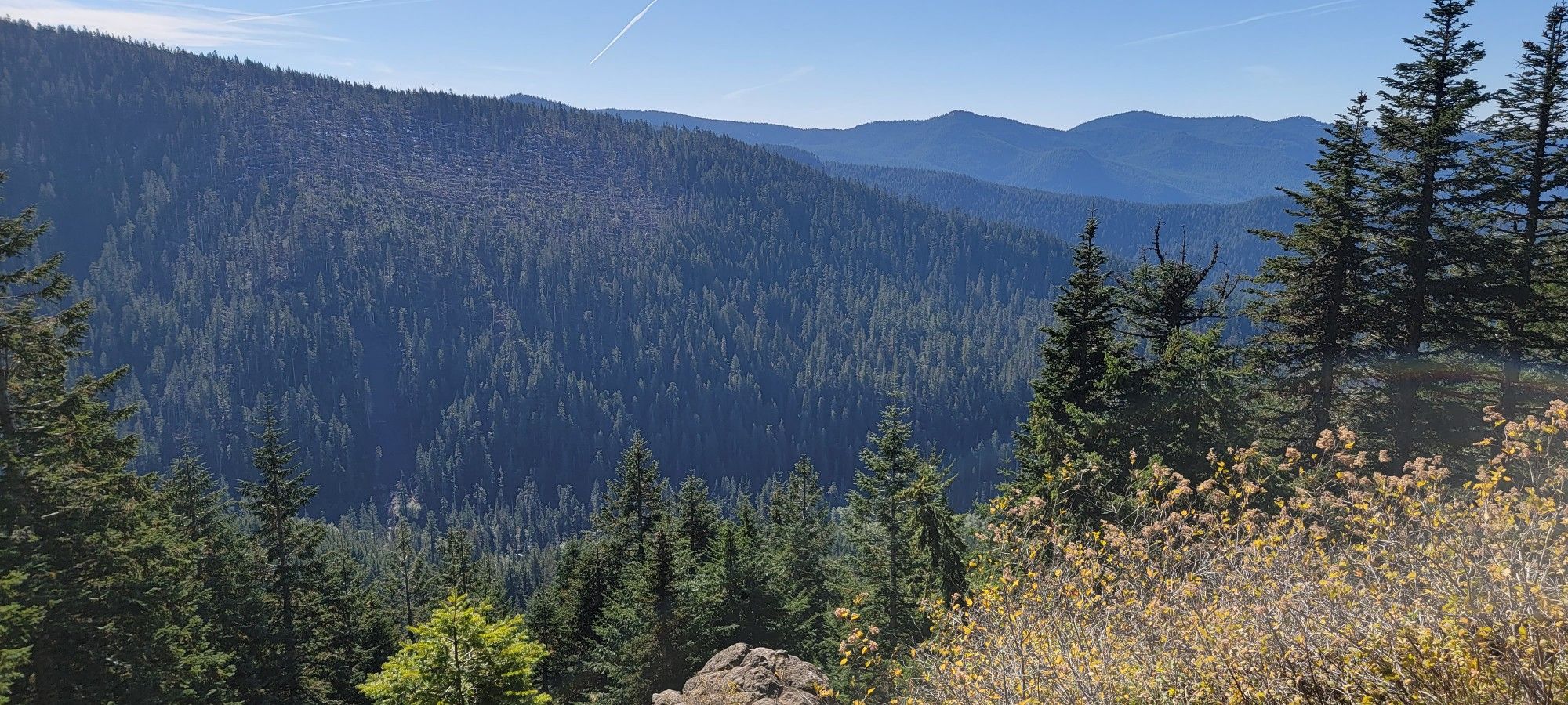 A wide view of dense green forested mountains under a clear blue sky. - Top Spur and Bald Mountain Loop