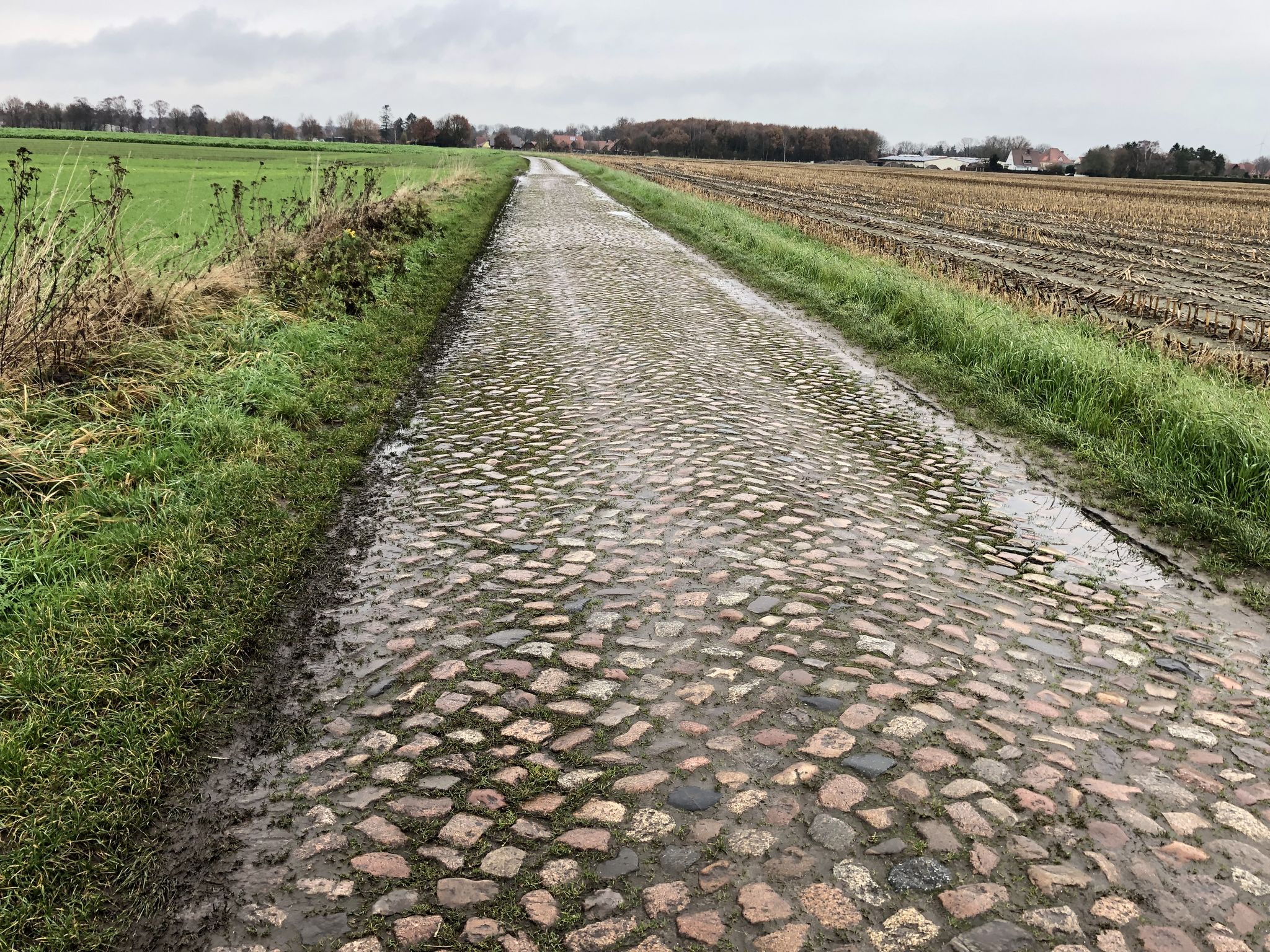 So sah der Weg hier aus (3)