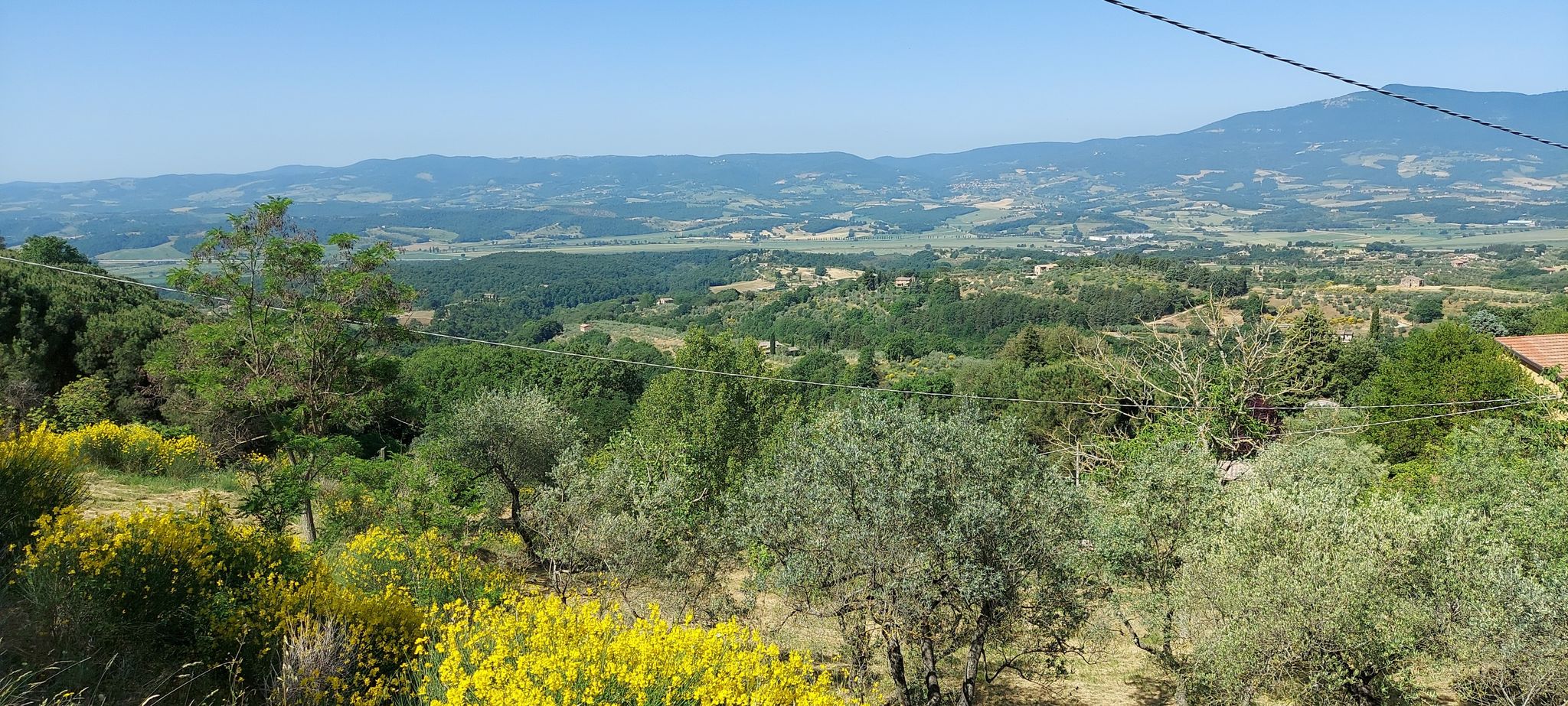 panorama 1