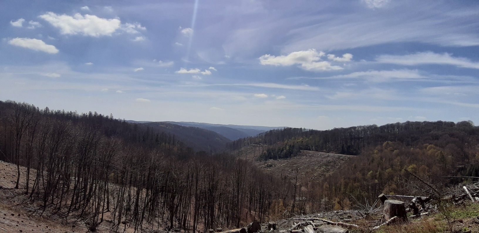 was für ein Panorama 