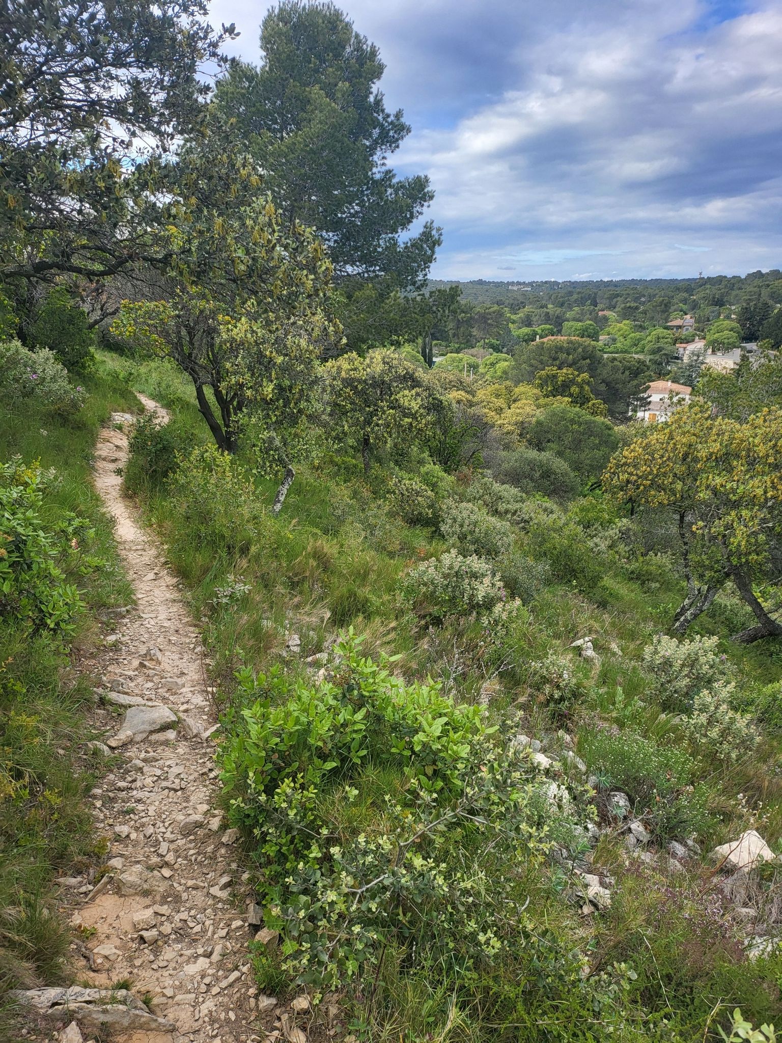 single typé trail