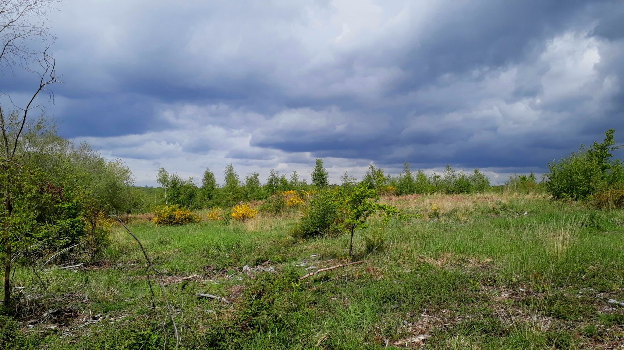 Wahner Heide ...