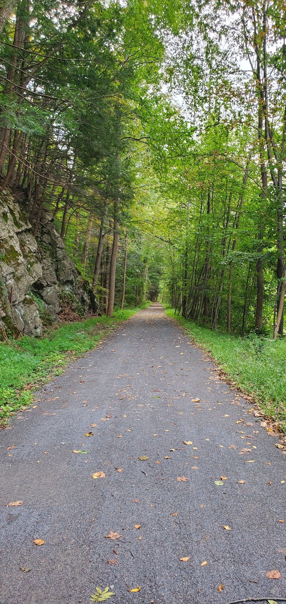 A paved path through a dense green forest with a rocky wall on the left. - Wallkill Valley Rail Trail loop from Kingston