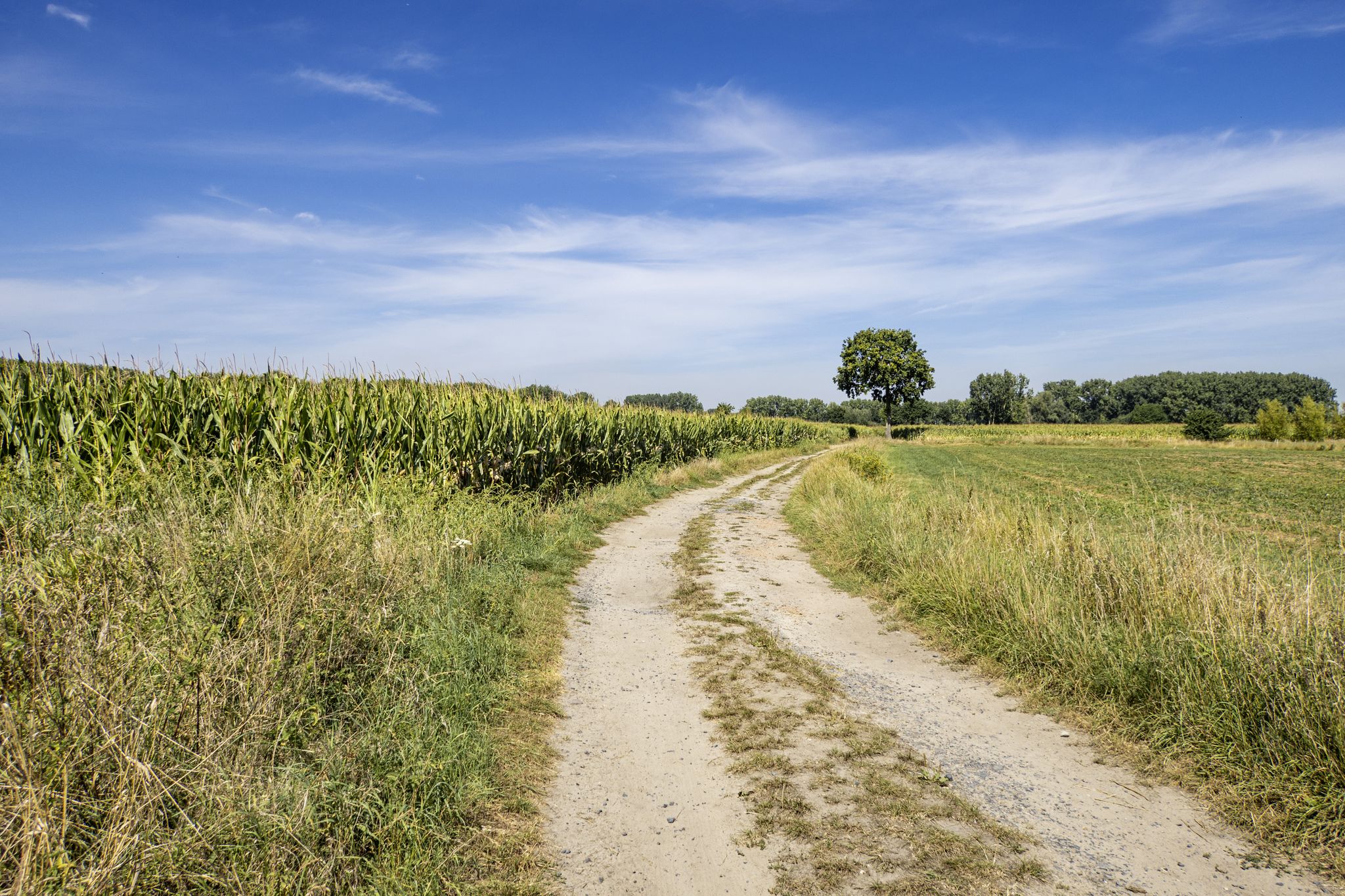 richting Semmerzake