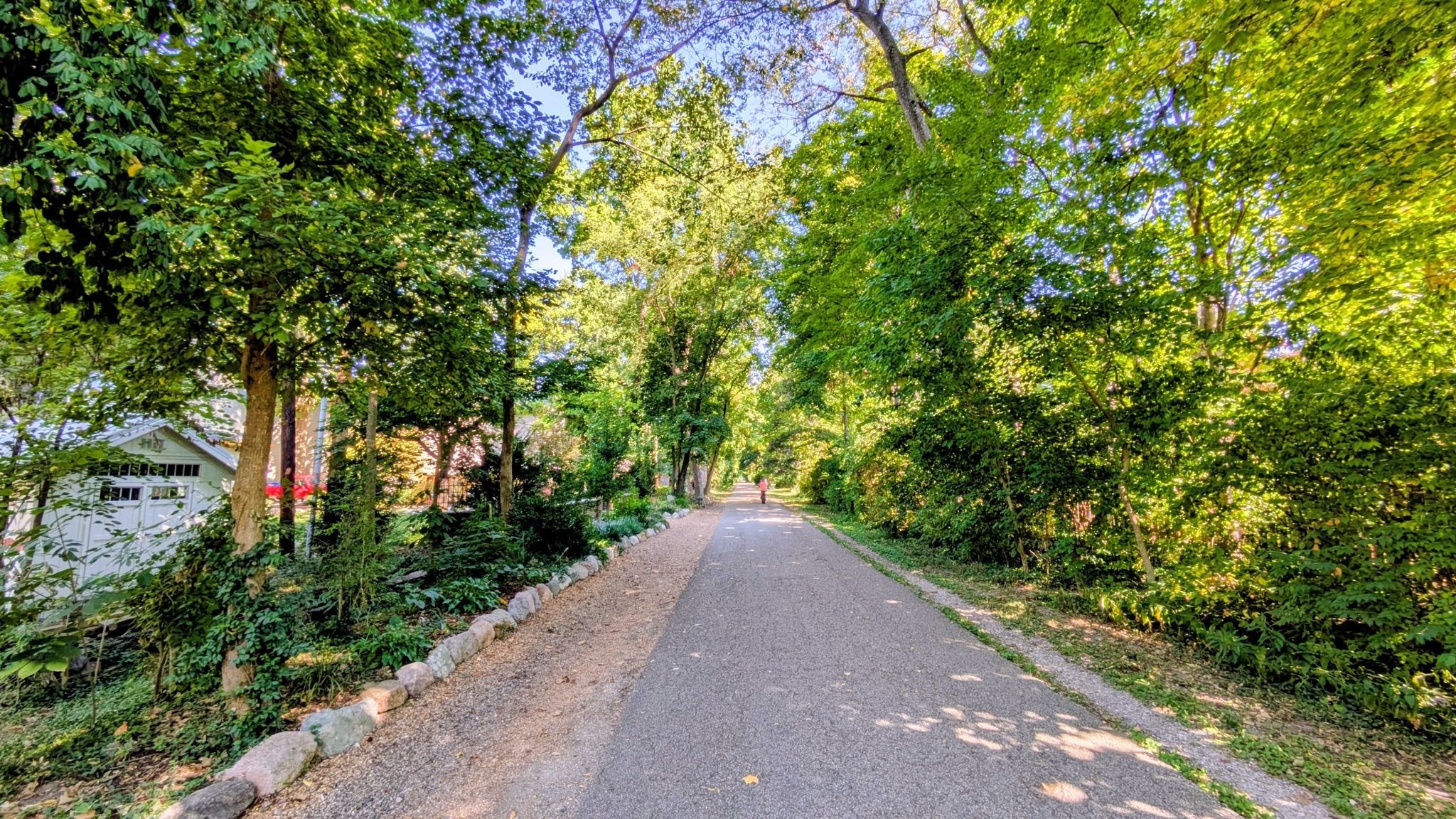 A paved path winding through dense green trees with dappled sunlight. - Mass Avenue – Broad Ripple Village loop from Indianapolis Union Station