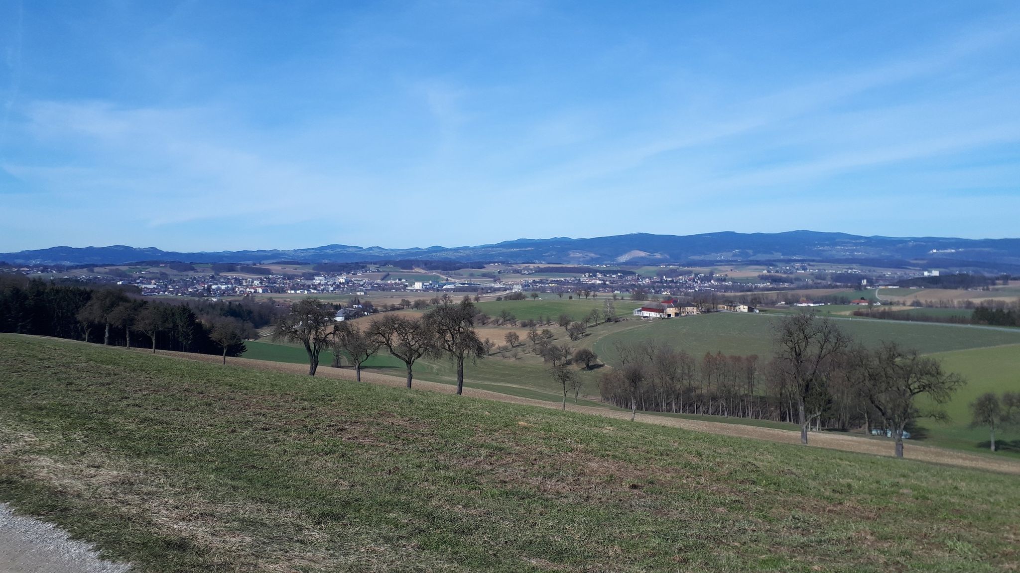 Blick auf Wieselburg