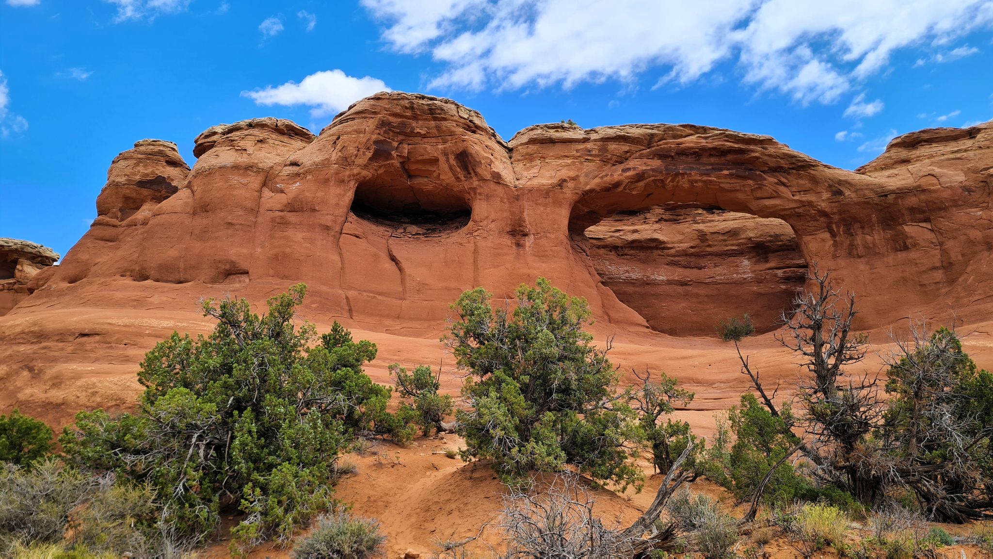 Expansive view of red rock arches and green desert shrubs under bright sky. - Tapestry Arch Trail