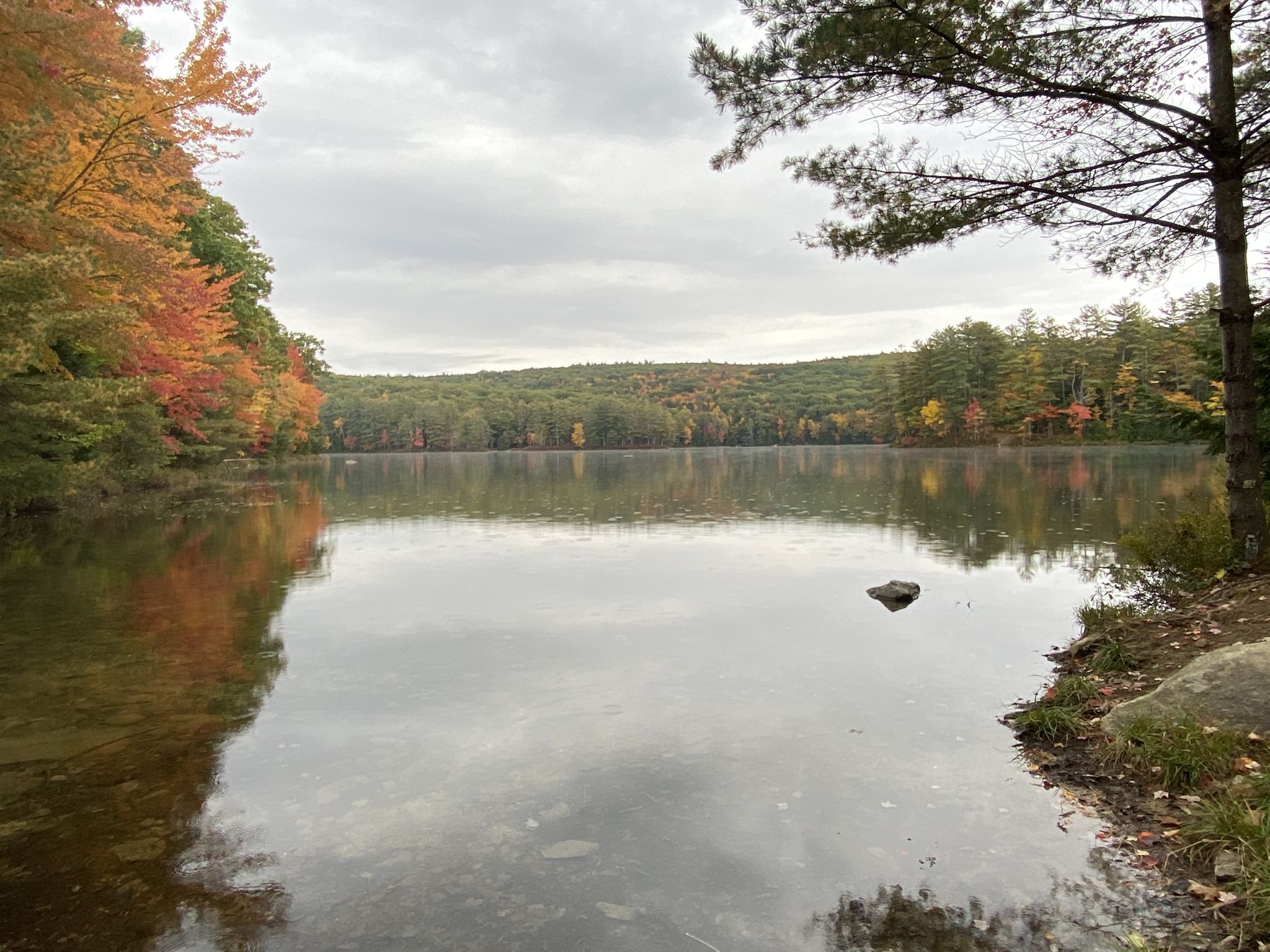 Calm lake reflecting cloudy sky and colorful autumn trees on a gray day. - Goose Pond - nice view of the lake – Goose Pond loop from Greater Goose Pond Forest