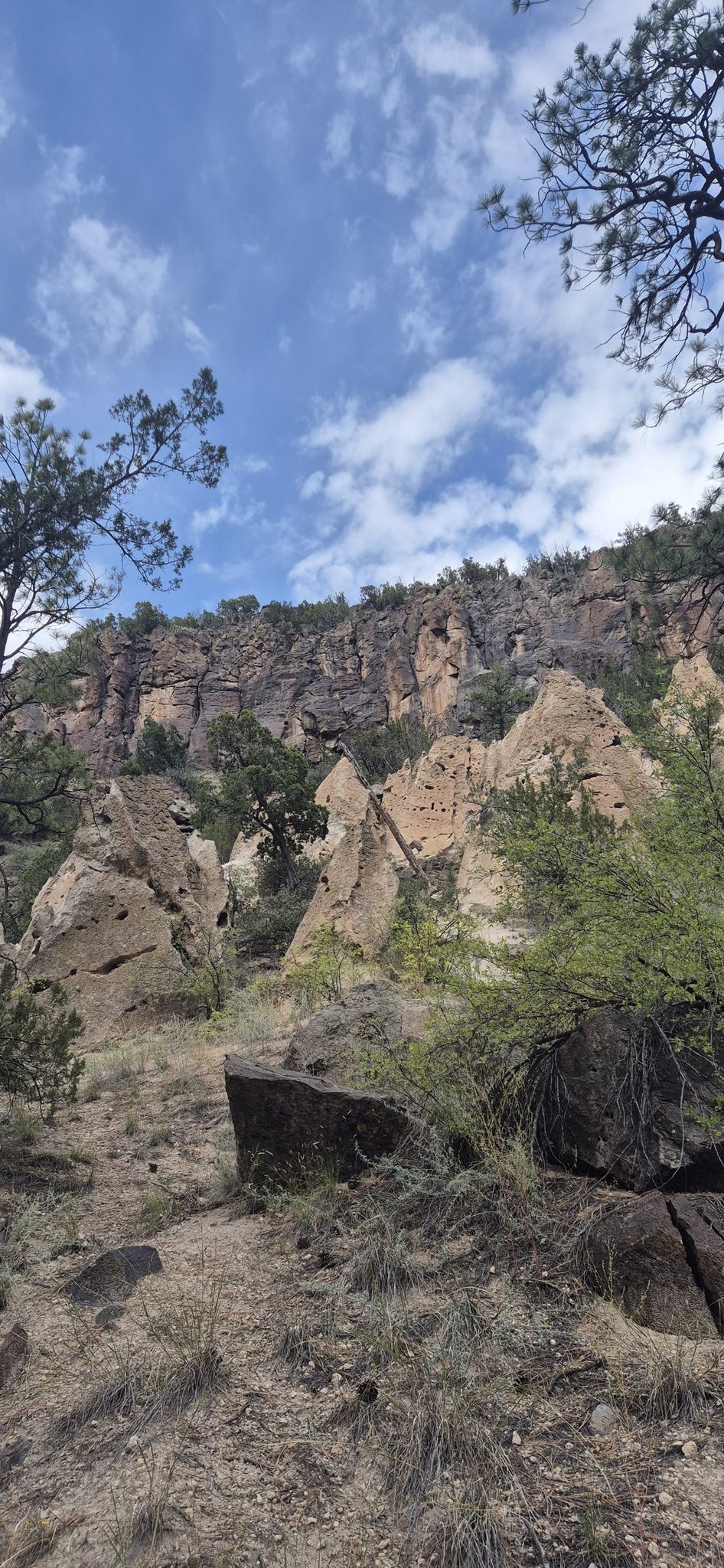 Unique rock formations and cliffs with sparse trees under a cloudy sky. - Falls Trail