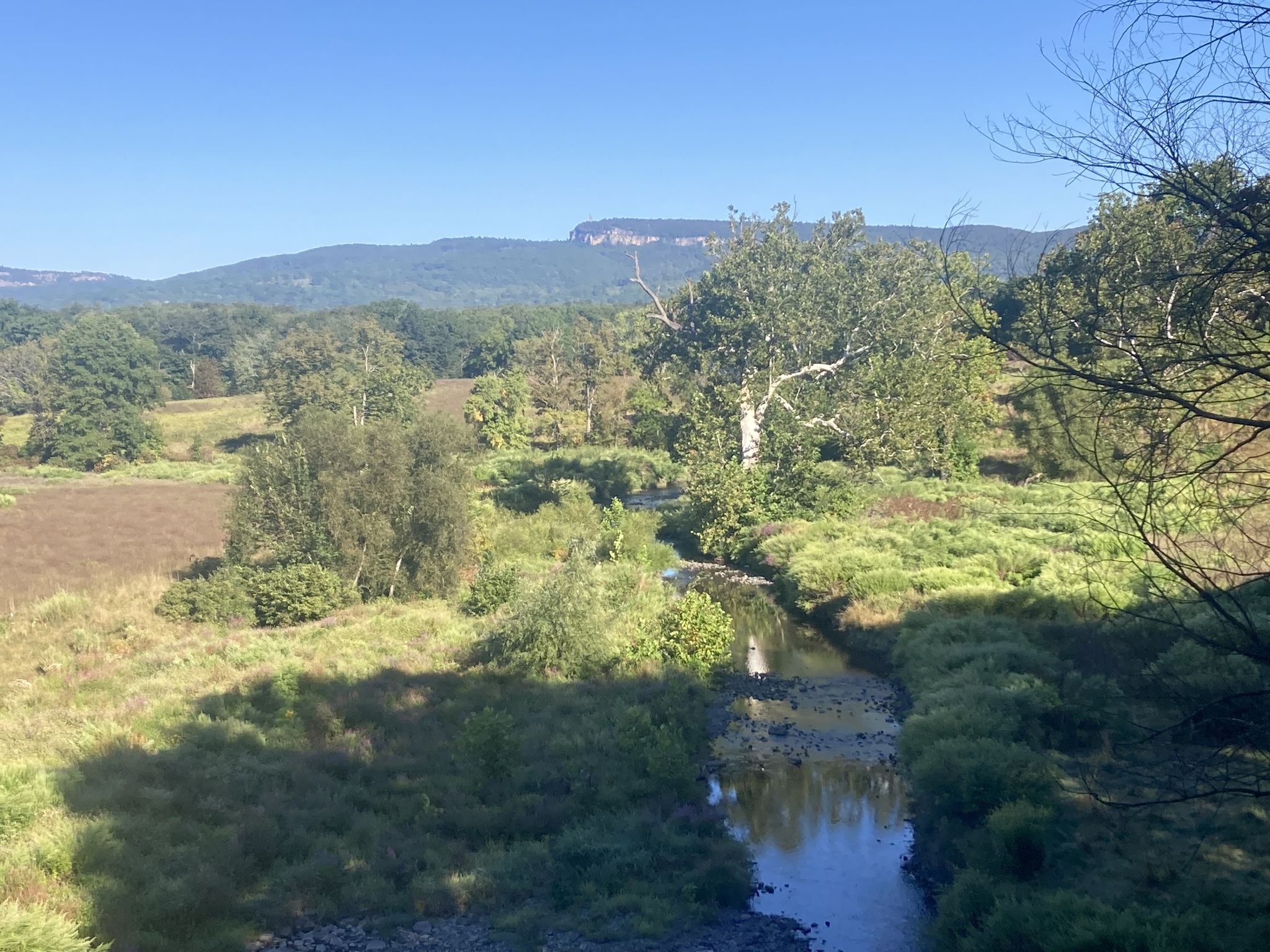 Sunny view of a narrow river flowing through green fields with distant mountains. - Wallkill Valley Rail Trail