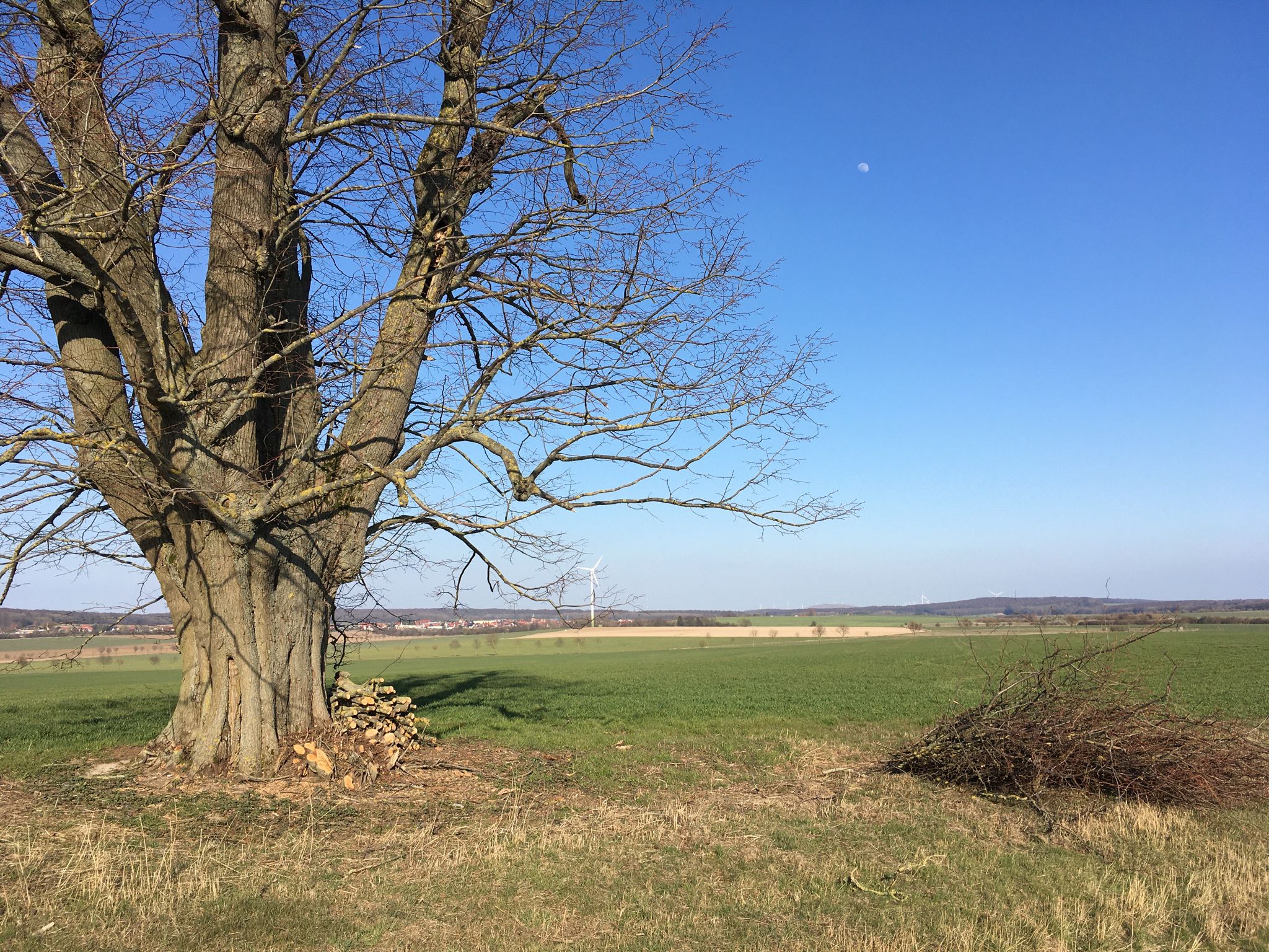 Blick nach Hüpstedt