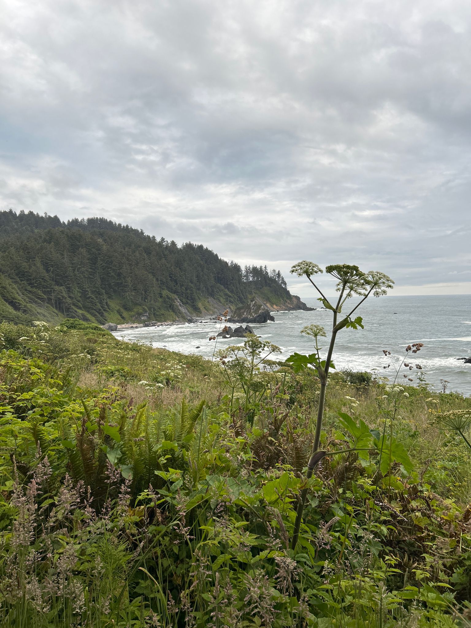 Lush green coastal vegetation with ocean waves and a cloudy sky. - Coastal Trail: Klamath Section