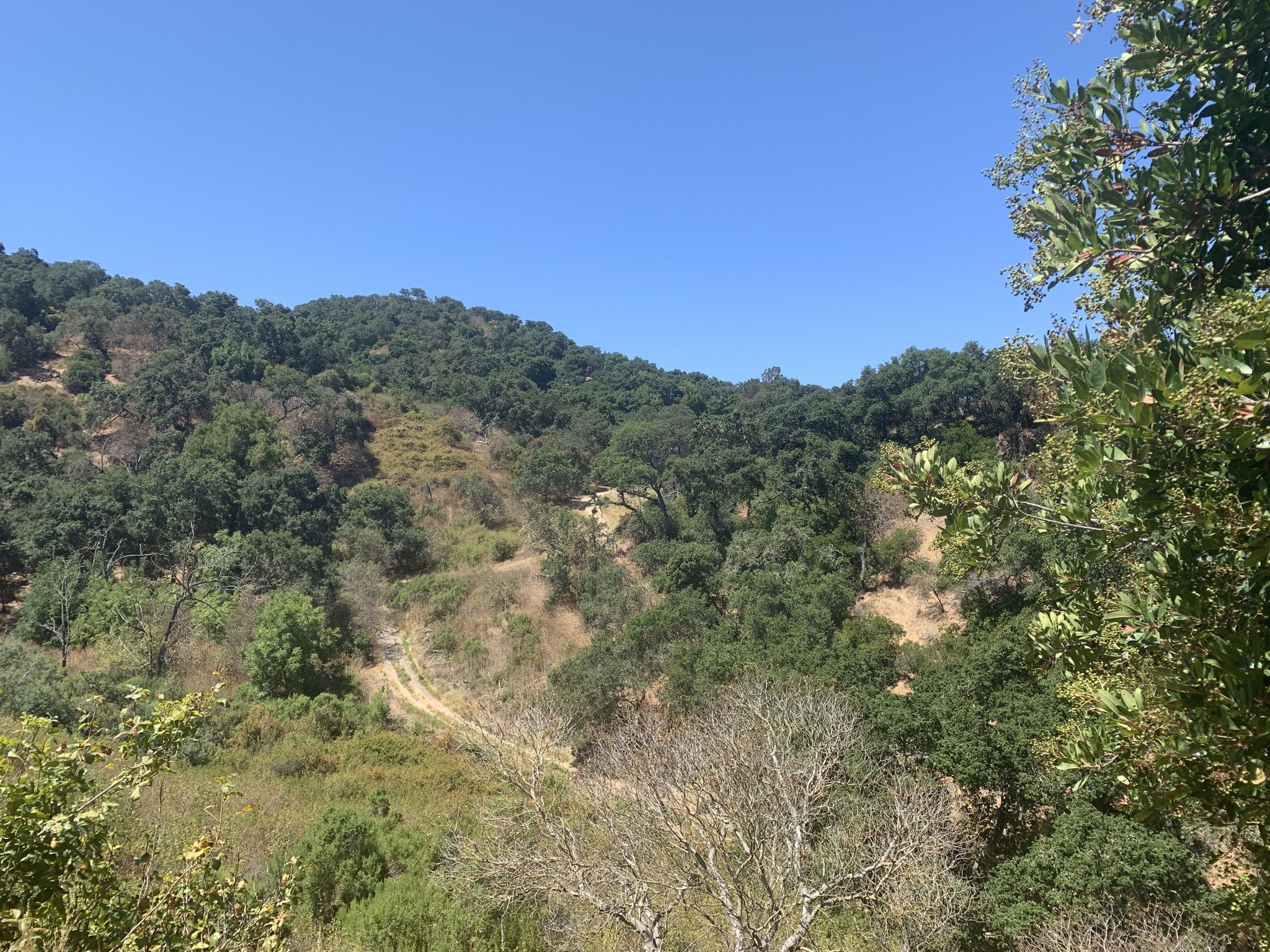 Sunny day, clear blue sky over lush green hills with a dirt path. - Valley View, Sky Lane, and Santa Rosa Trail Loop